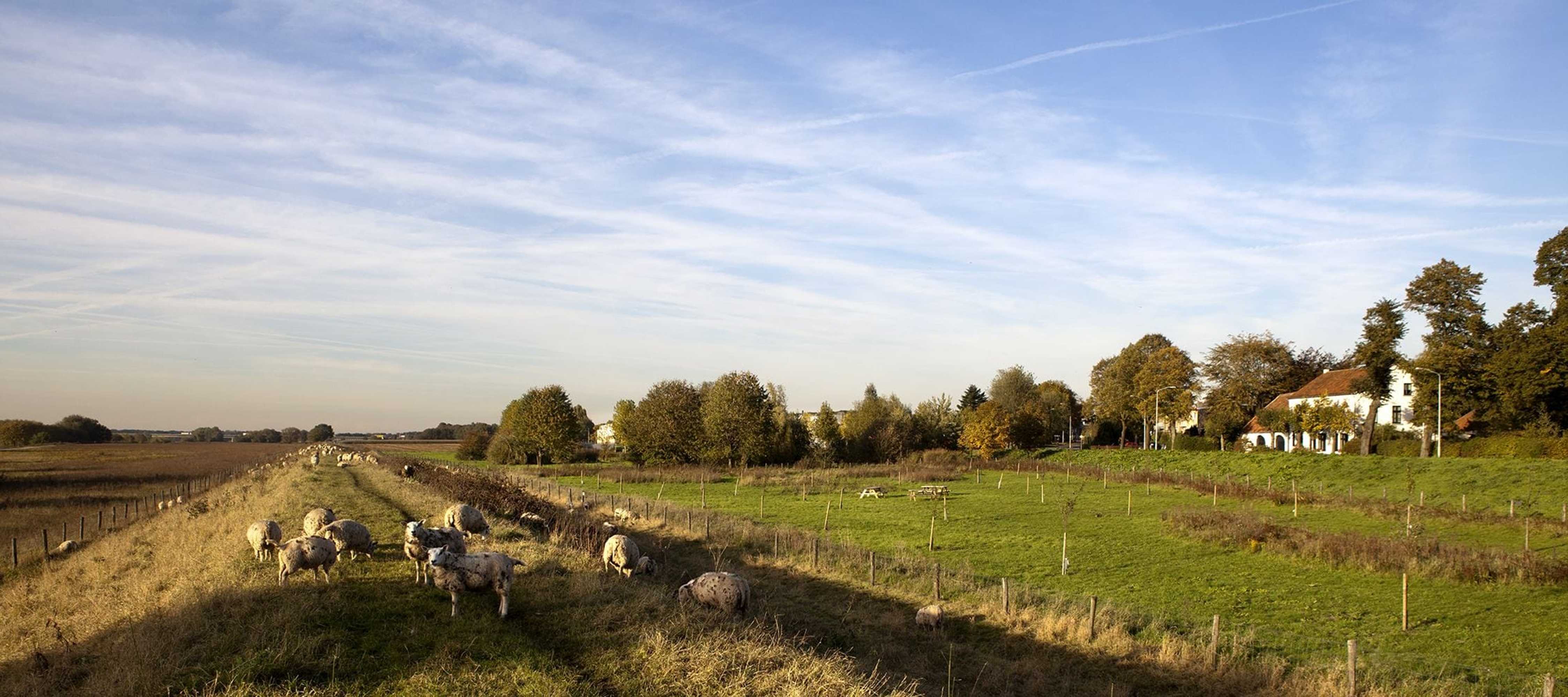 Gift card for Valuas