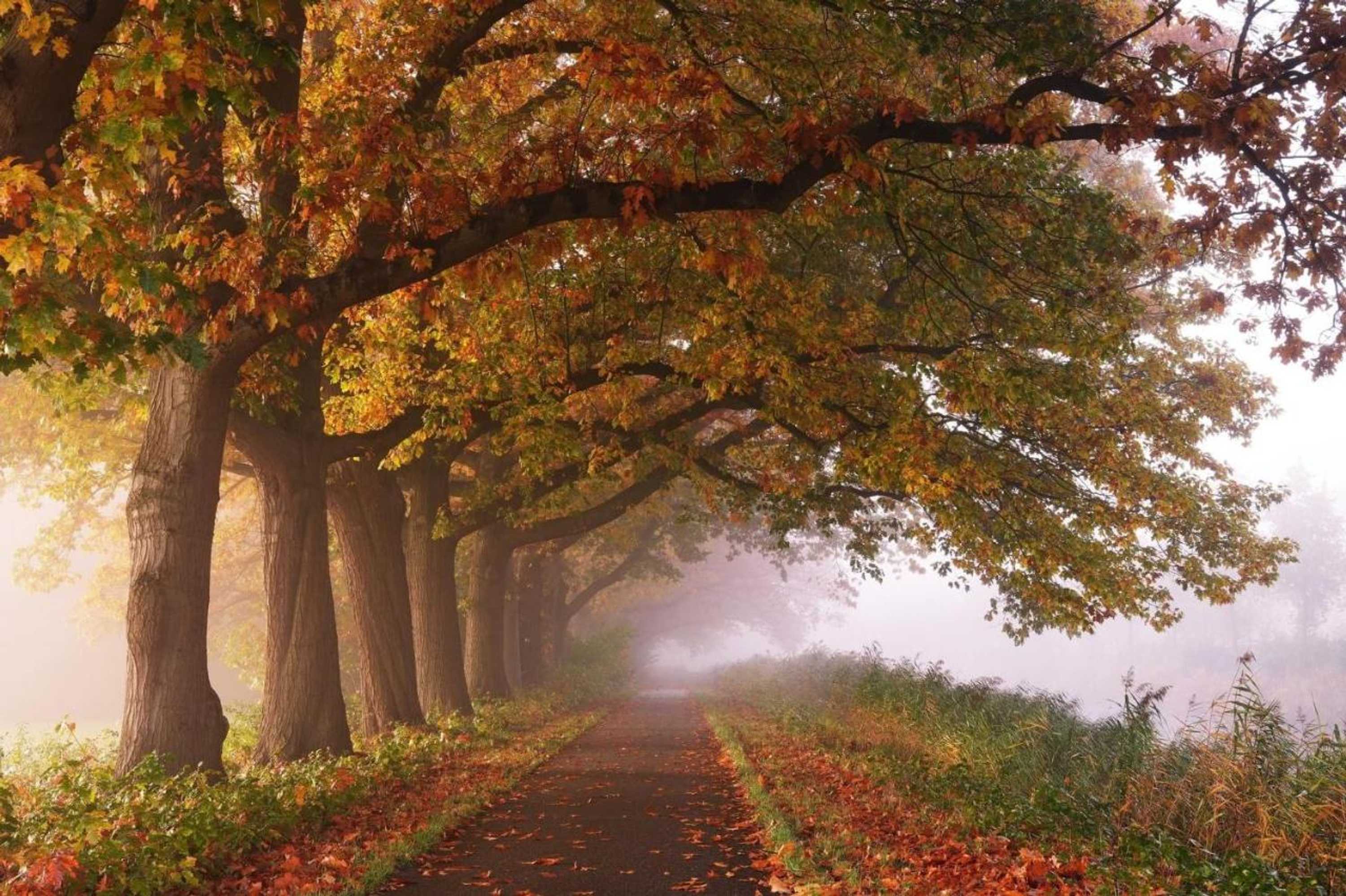 Gift card for B&b In de Aap Gelogeerd