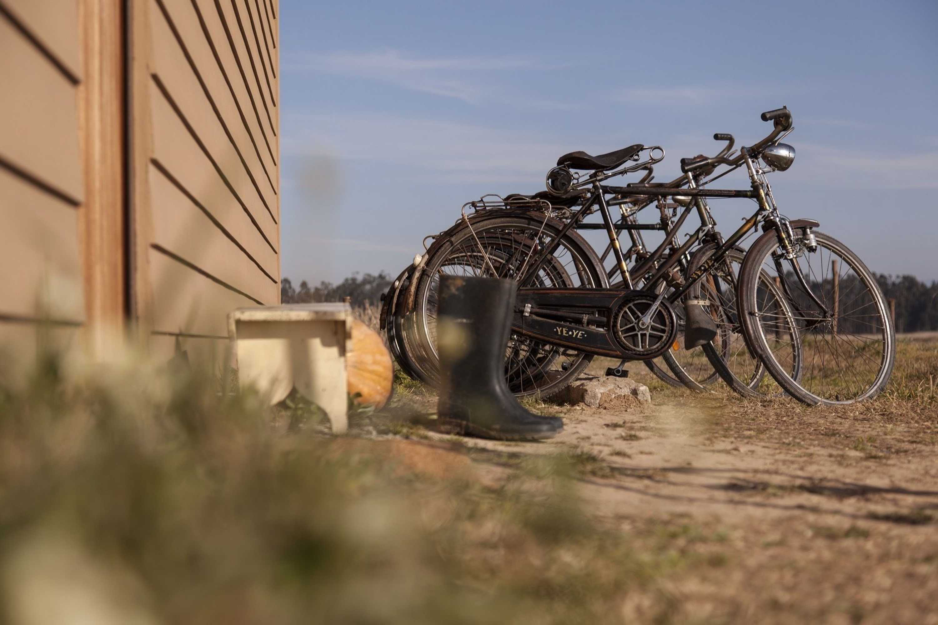 Gift card for Be & See in Nature