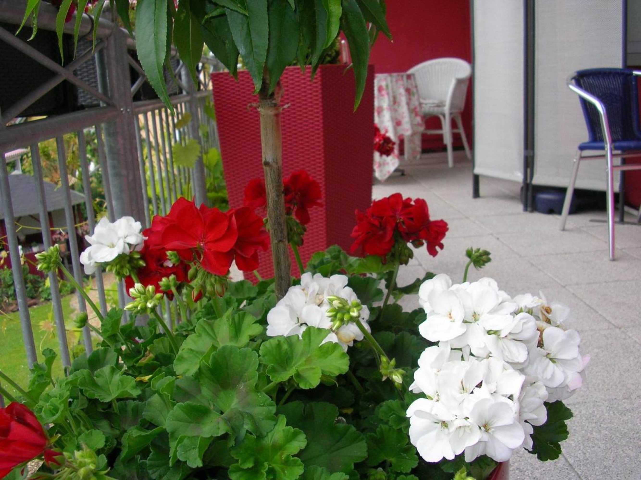 Gift card for Wohnen Mit Herz