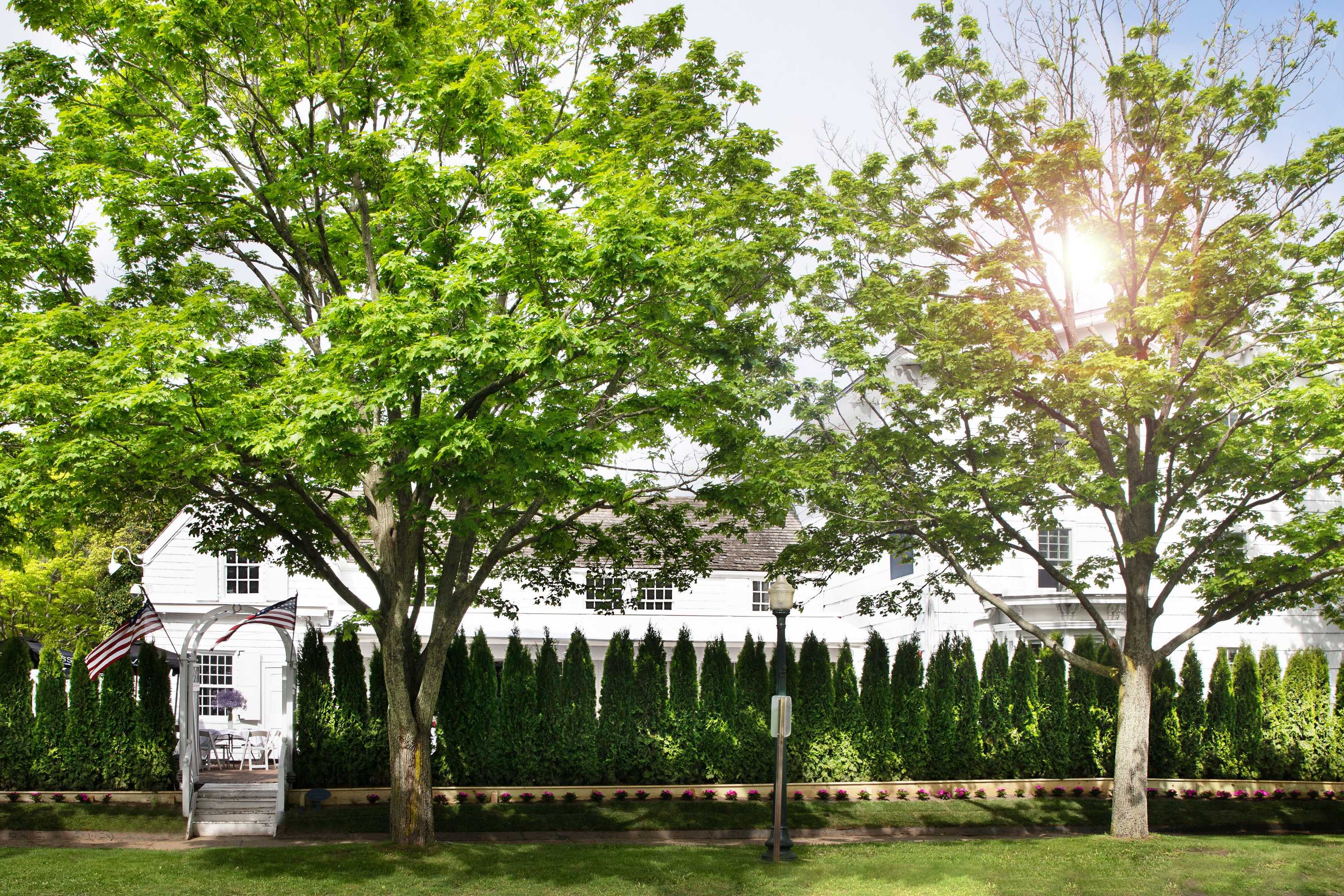 Gift card for Maison Vivienne Southampton Gift card for Maison Vivienne Southampton
