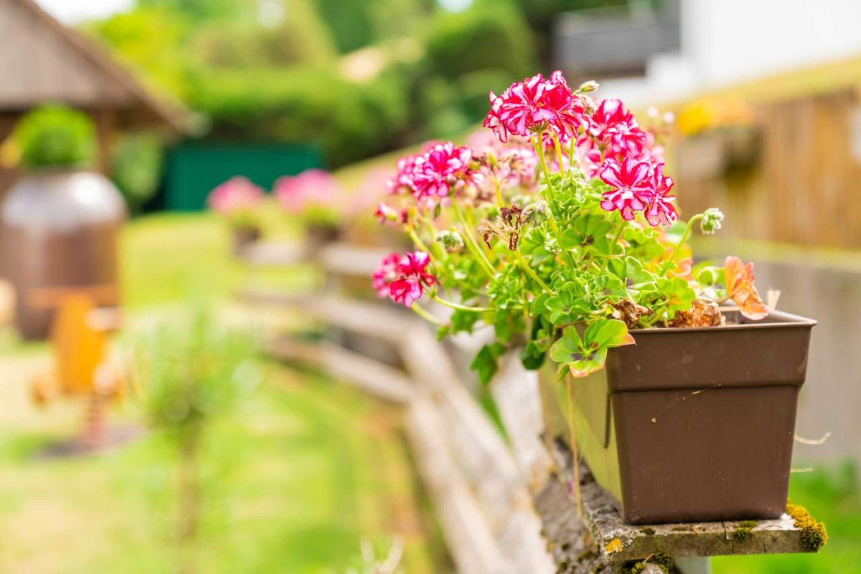 Gift card for Gengs Linde