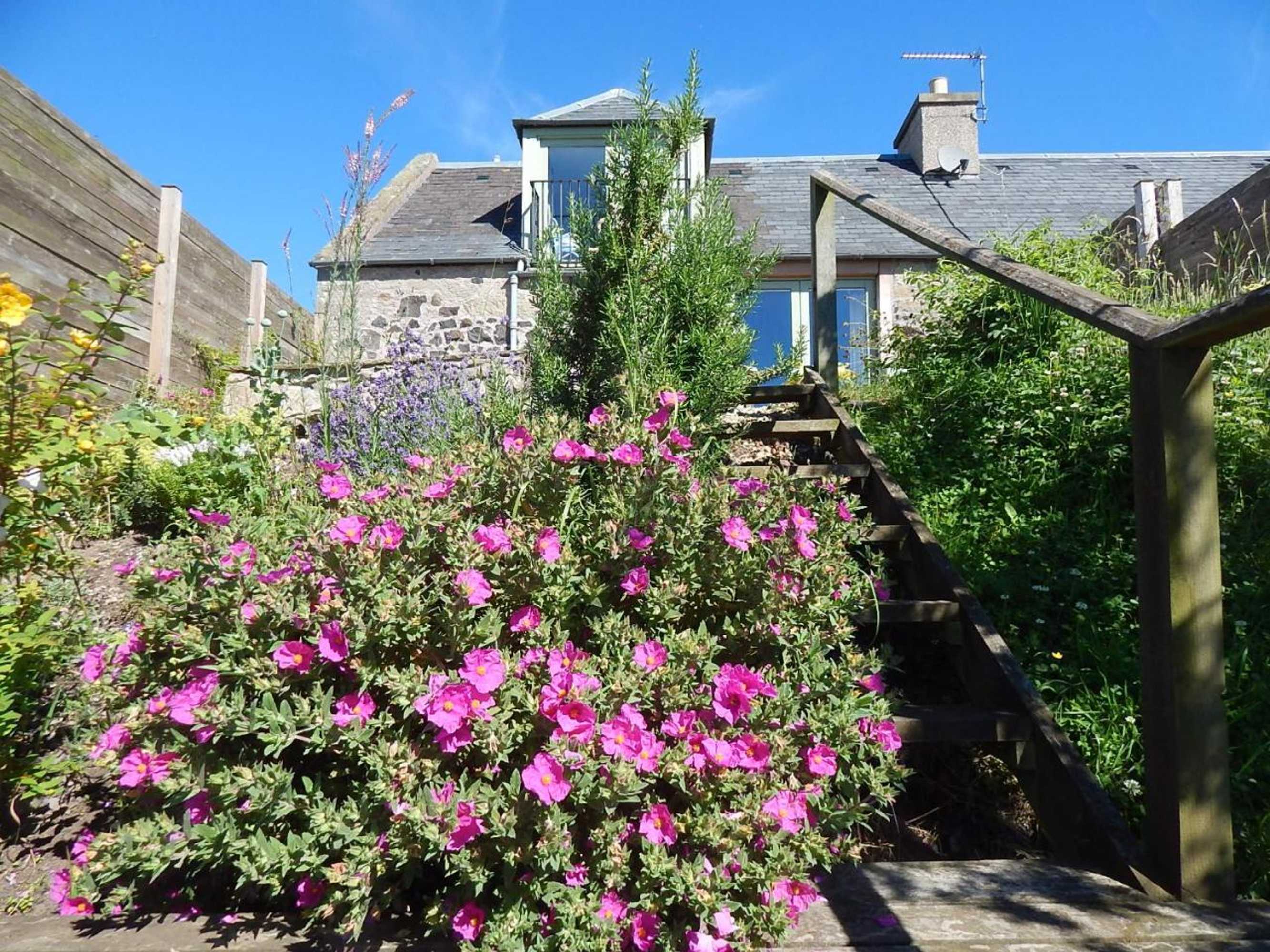 Gift card for Plumtree Cottage