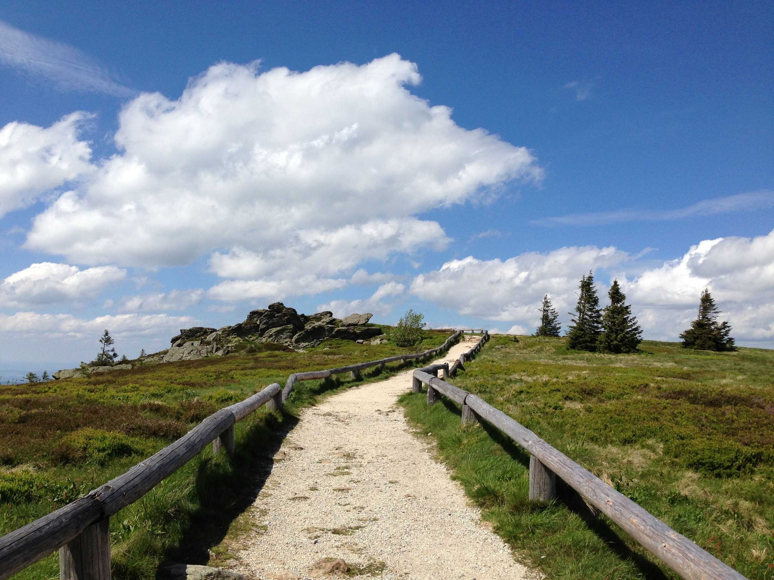 Gift card for Fewo Waldheimat