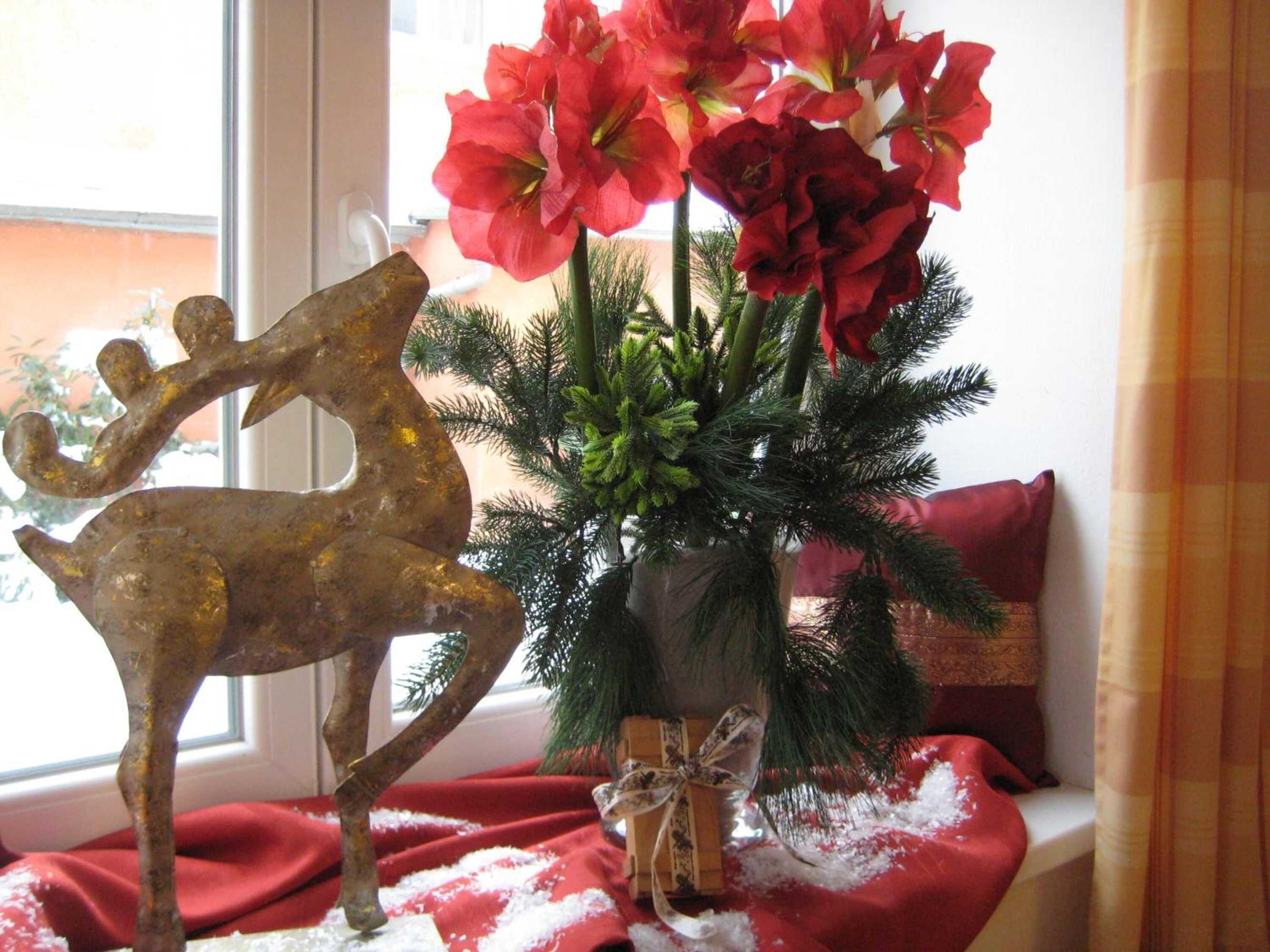 Gift card for Hotel Haslbach Fgz