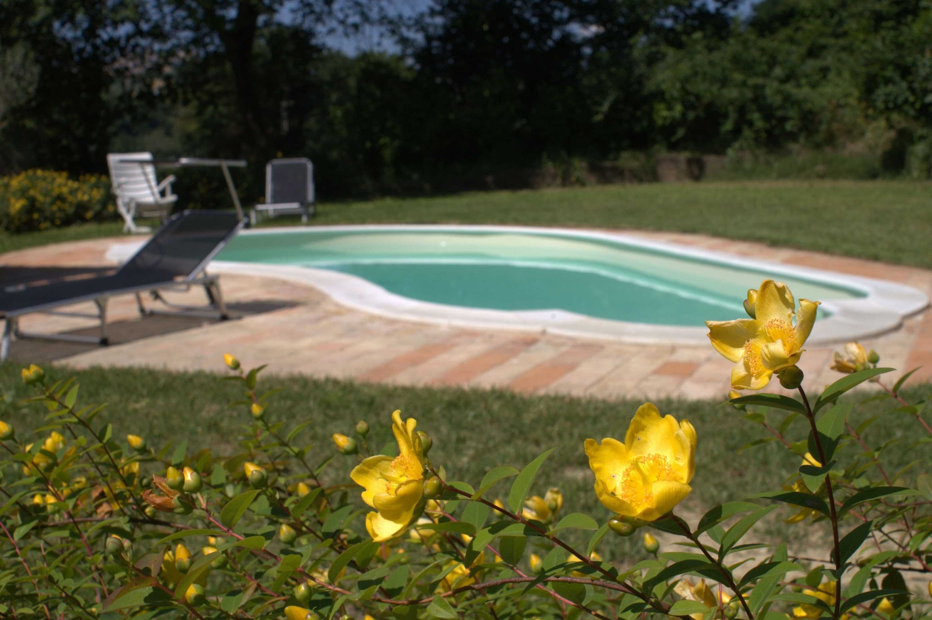 Gift card for B&b Il Girasole Delle Marche Gift card for B&b Il Girasole Delle Marche