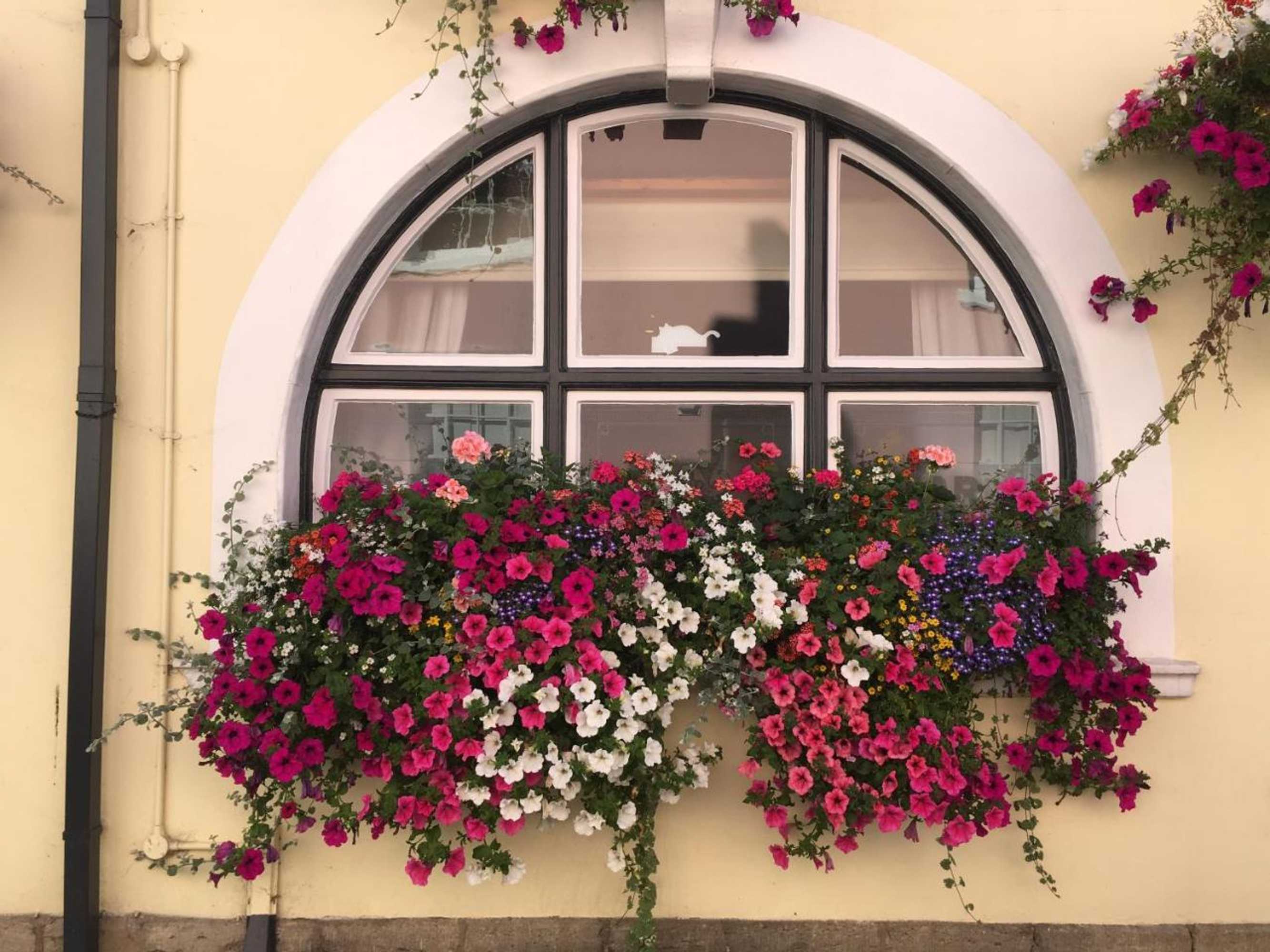 Gift card for Tiger Inn