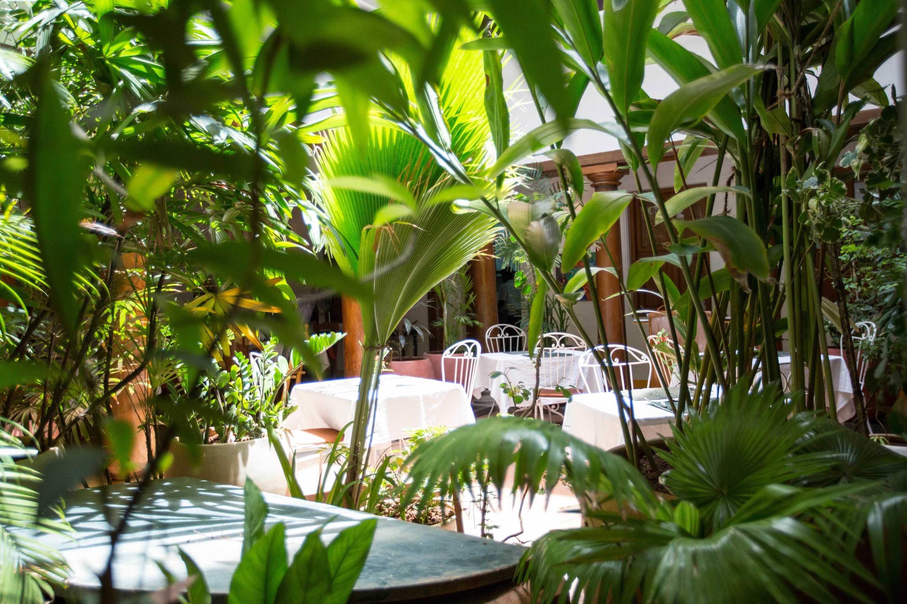 Gift card for Maison Perumal Pondicherry - a Cgh Earth Experience Gift card for Maison Perumal Pondicherry - a Cgh Earth Experience