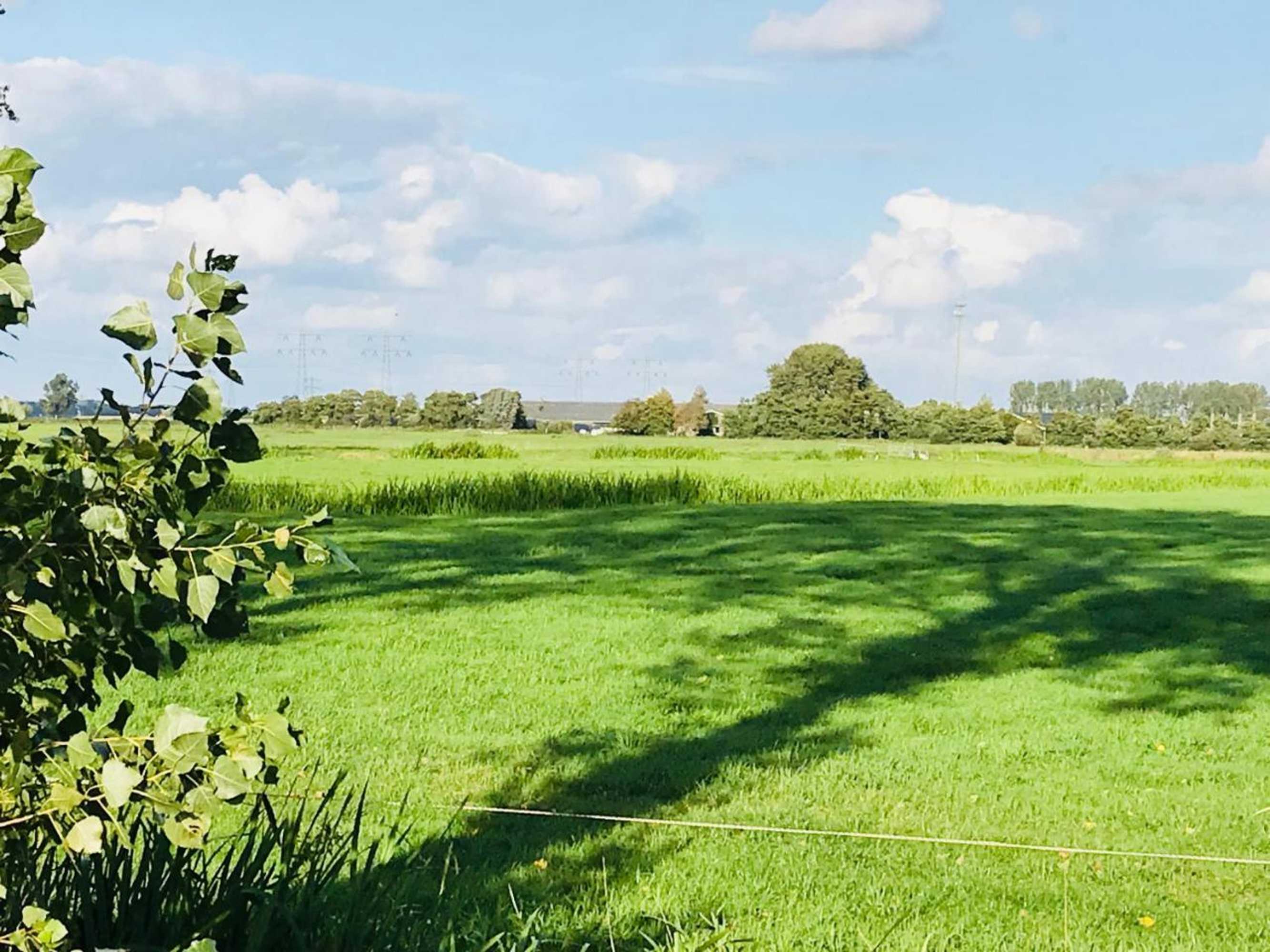 Gift card for Altenburgpleats