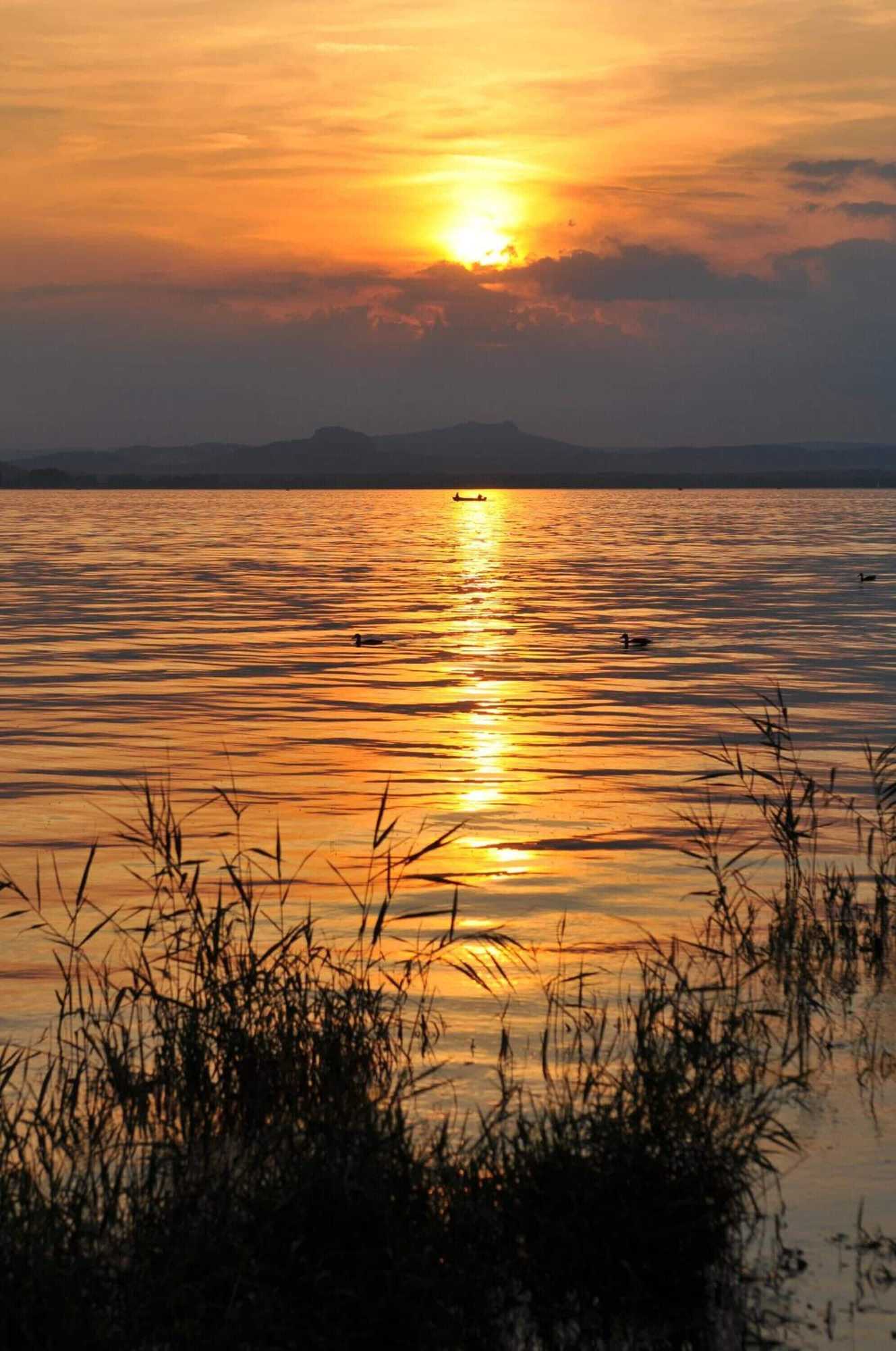 Gift card for Mein Inselglück