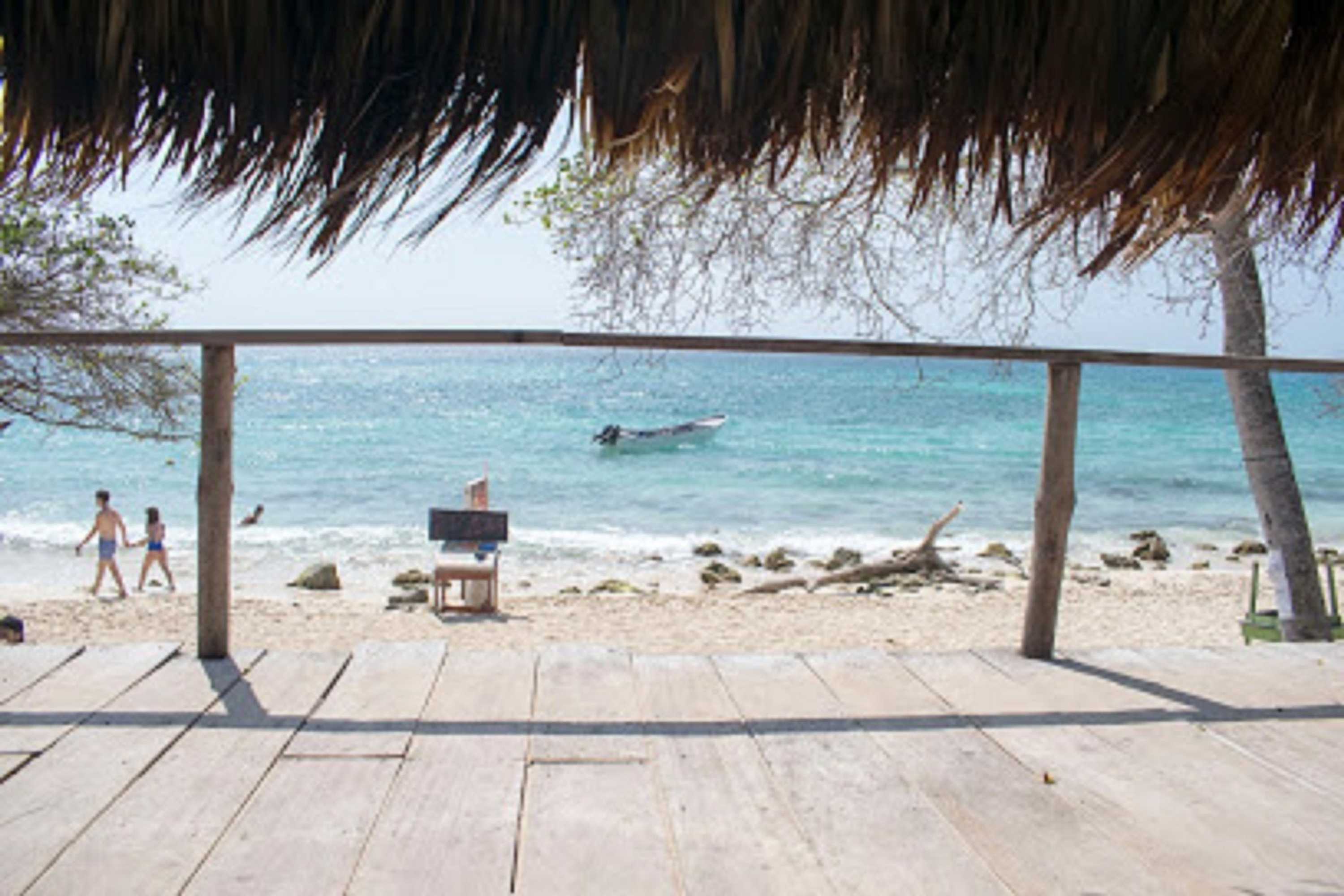 Gift card for The Pacho Lay