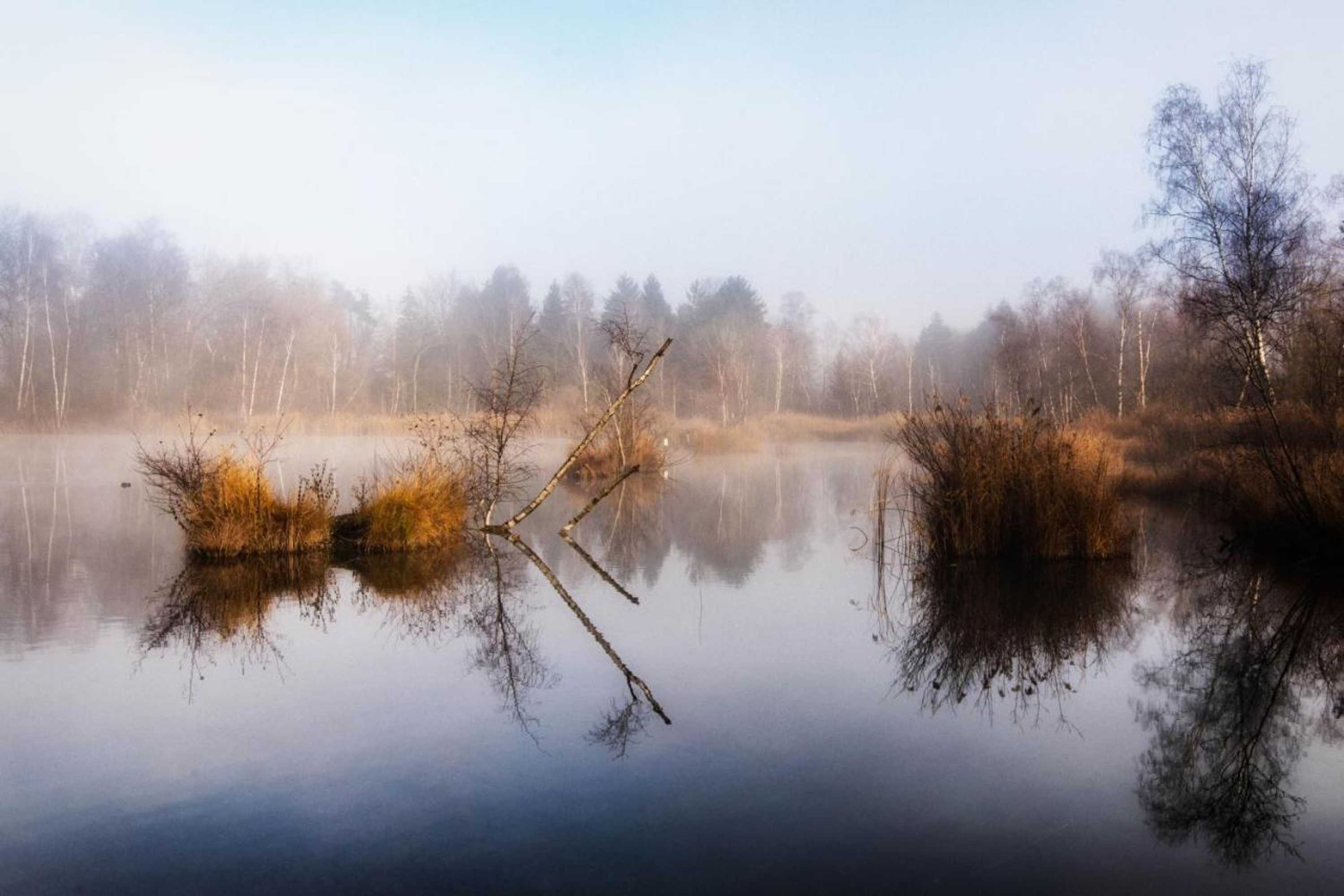 Gift card for Motel Hohenems