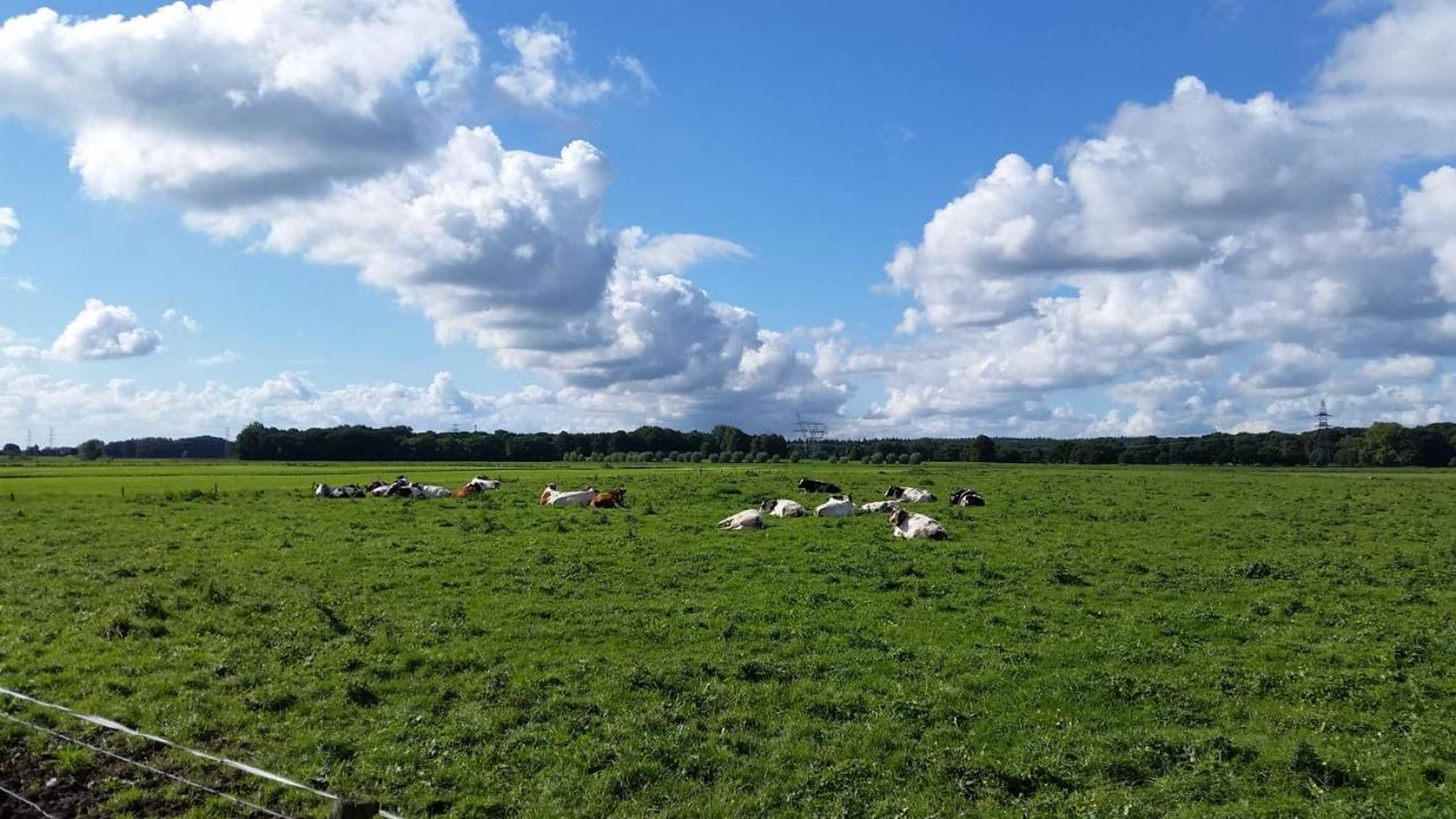 Gift card for B&b de Rivierduin