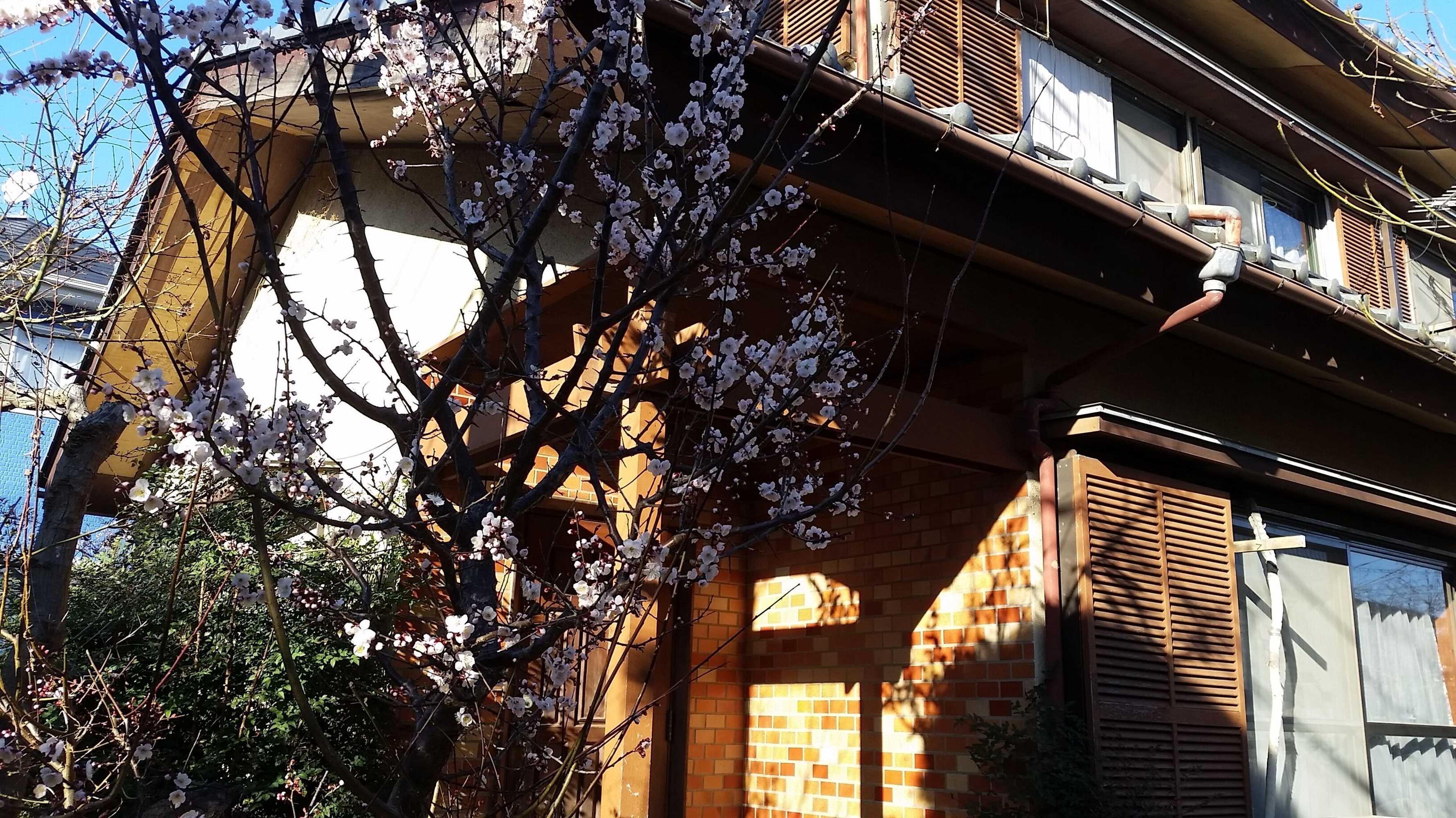 Gift card for Higashi Matsudo Home Narita AP Direct Gift card for Higashi Matsudo Home Narita AP Direct