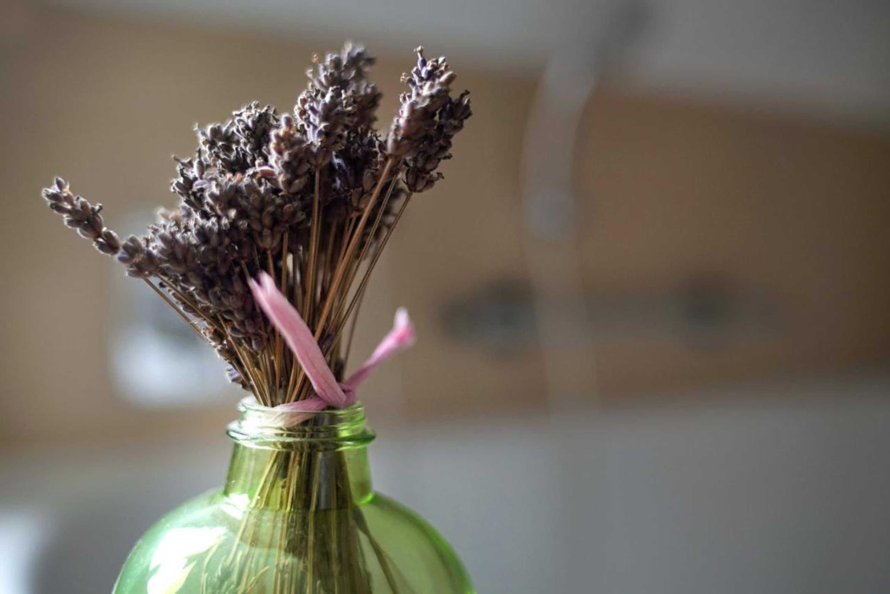 Gift card for Pension & Seminarhaus 