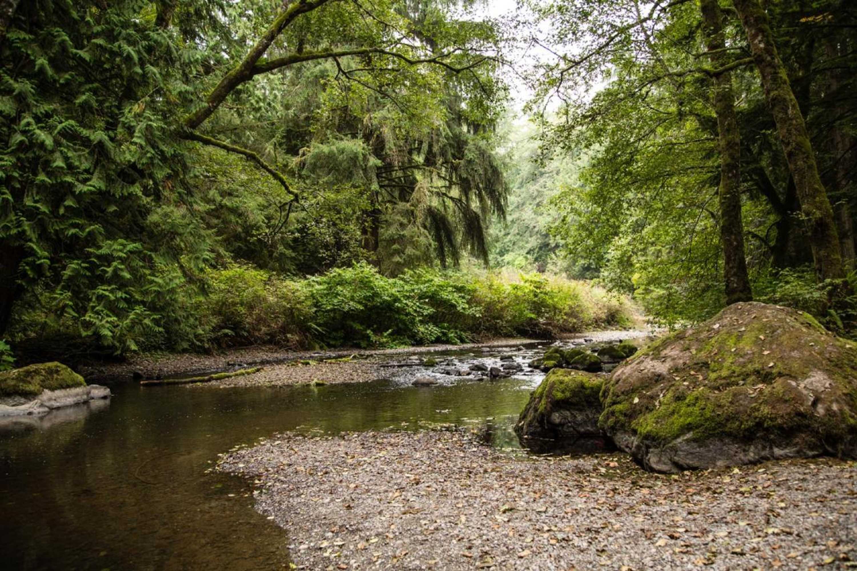 Gift card for Mount Vernon Camping Resort Studio Cabin 4