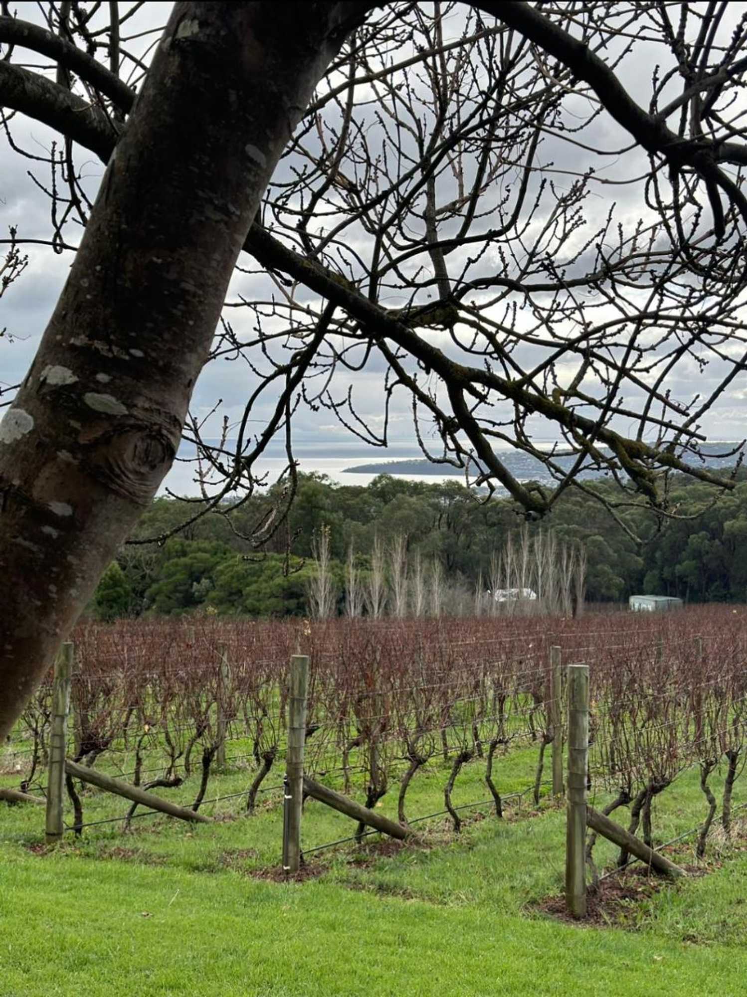 Gift card for Frogs Pond