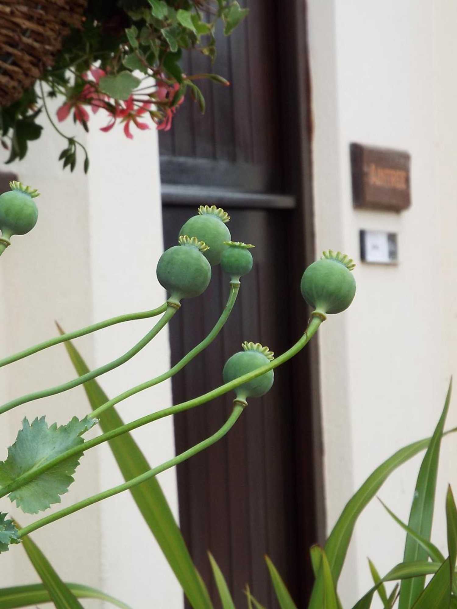 Gift card for The Stableyard