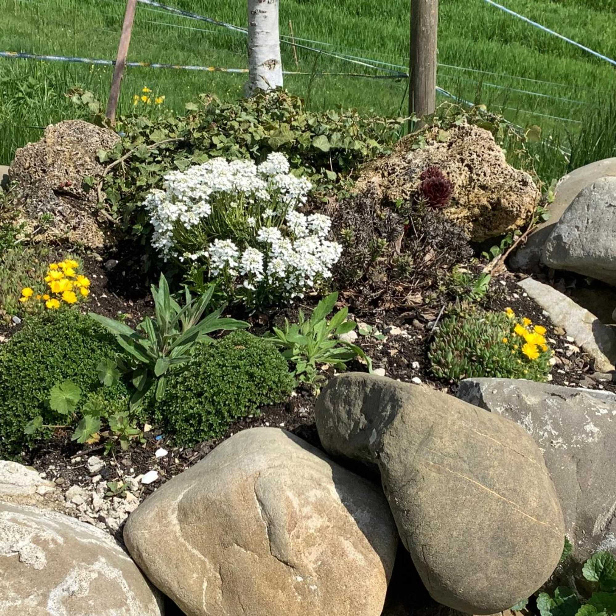 Gift card for Sitter-Panorama