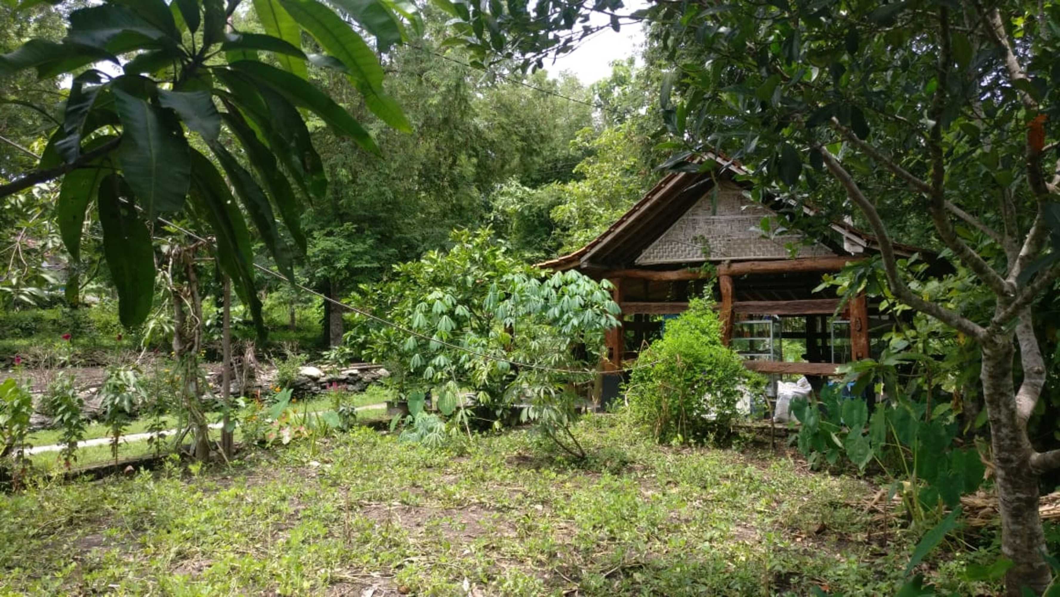 Gift card for Homestay Miftah Syariah - Hostel