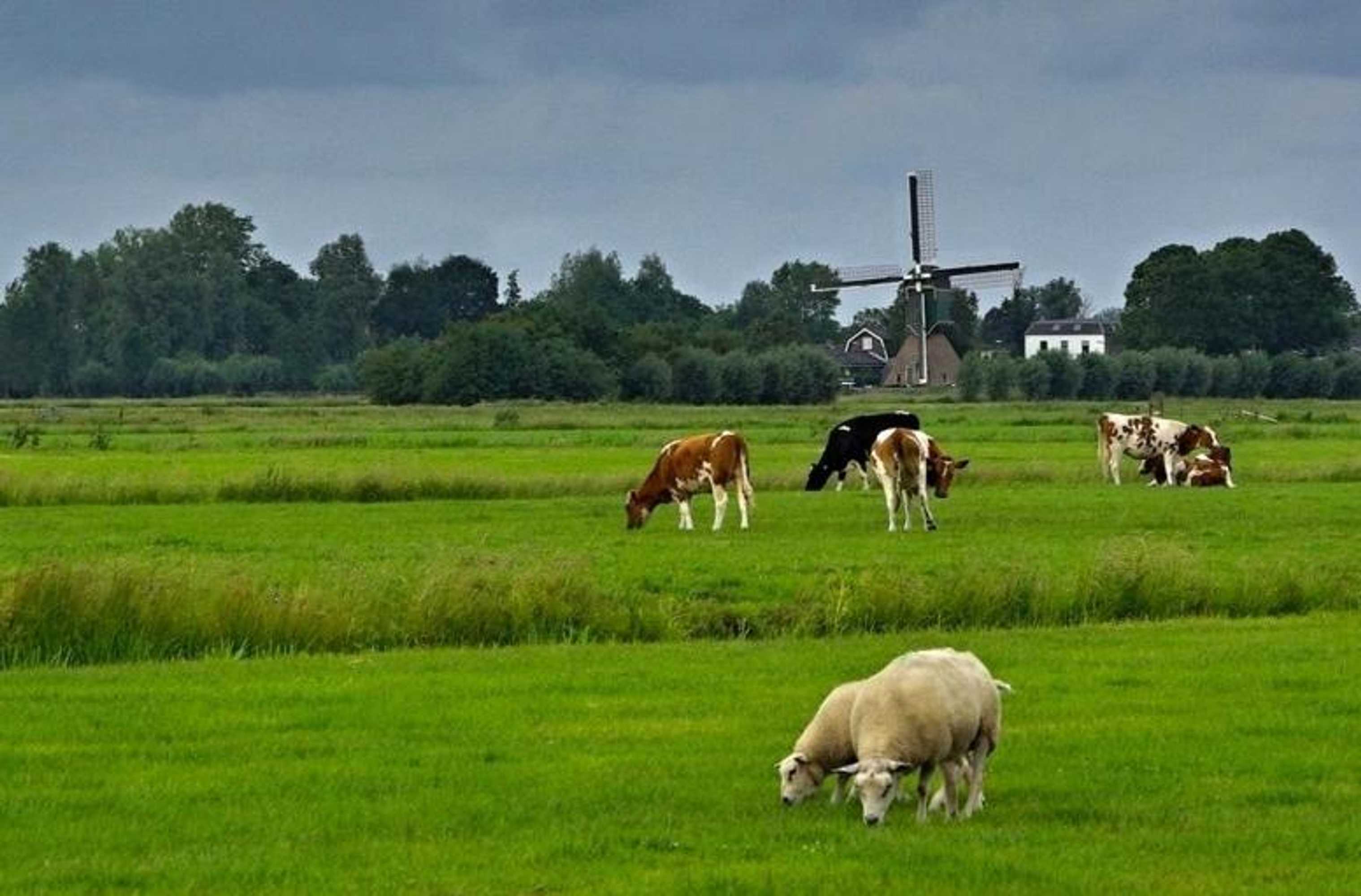 Gift card for House of Cocagne