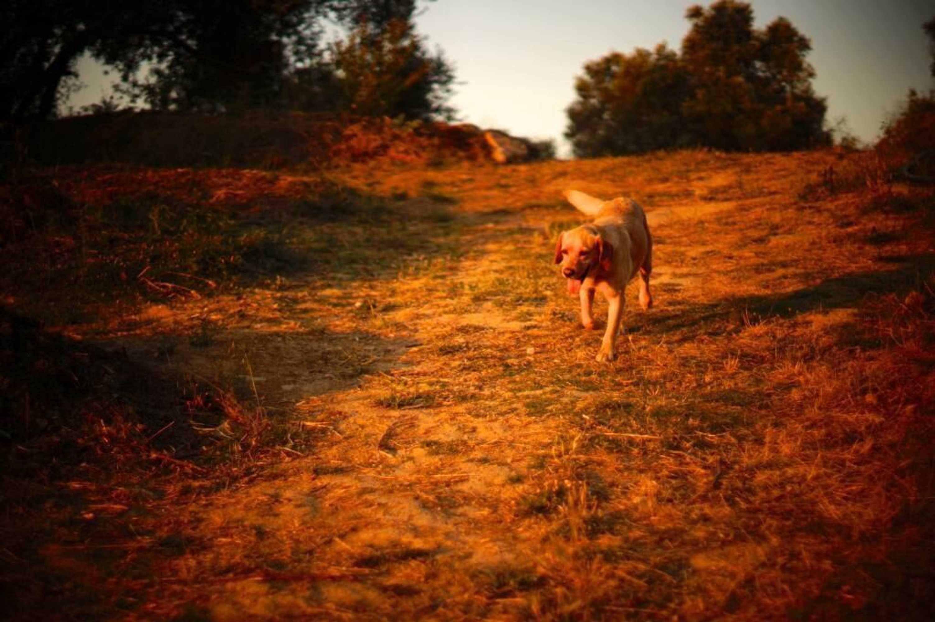 Gift card for Biovilla Sustentabilidade