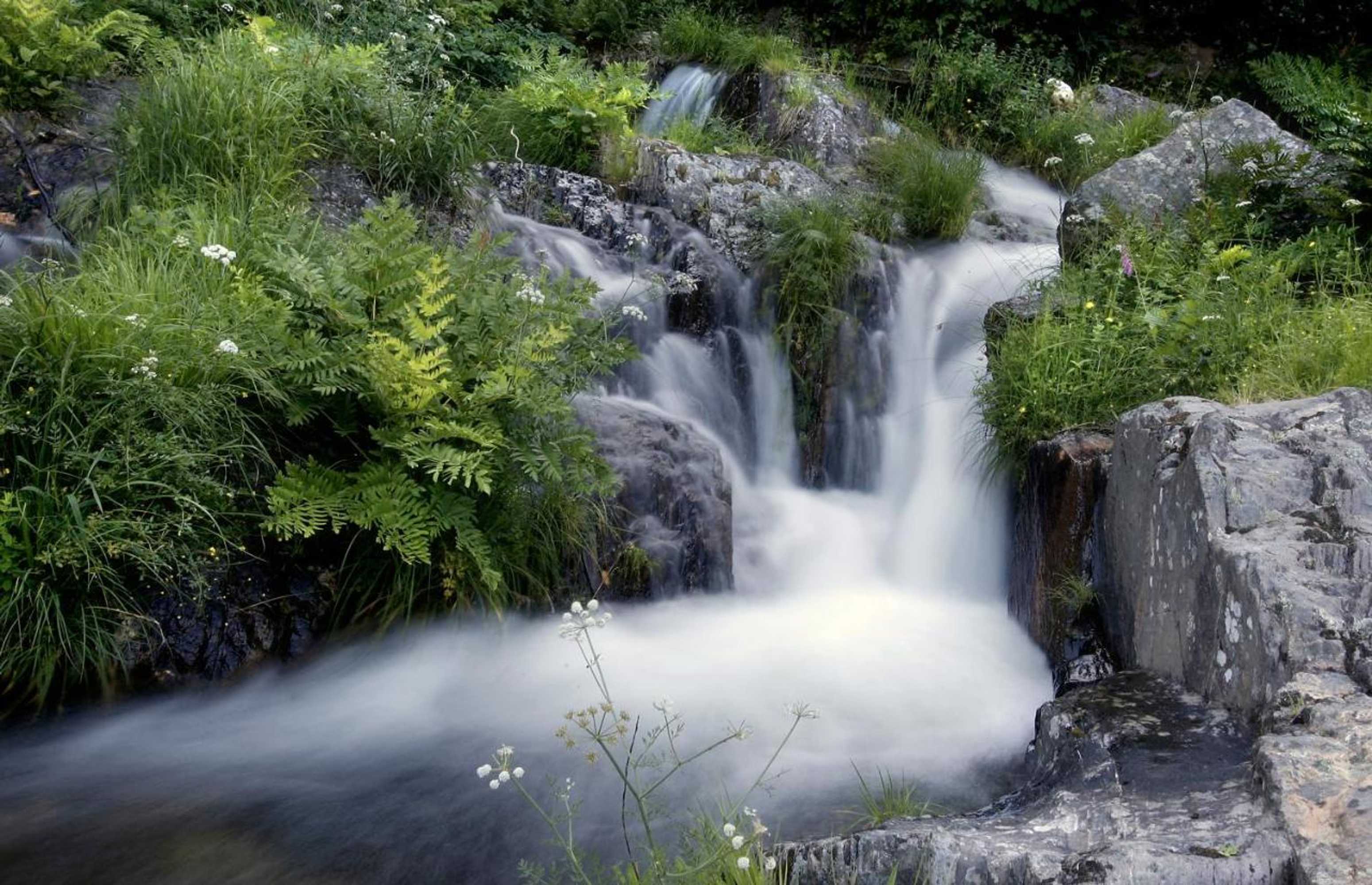 Gift card for Inxisto Lodges