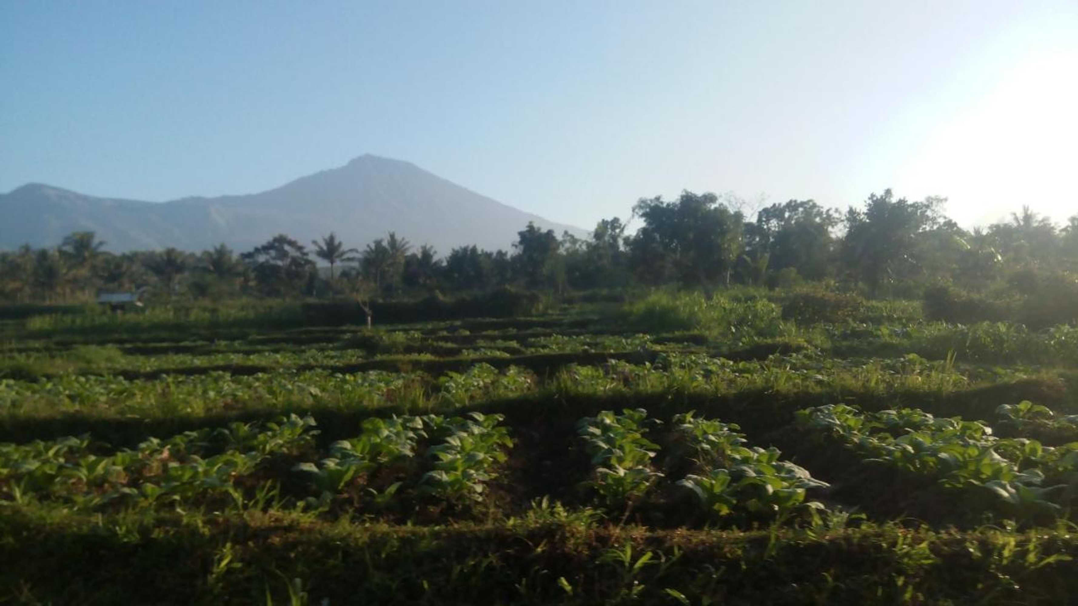 Gift card for Tetebatu Indah Homestay