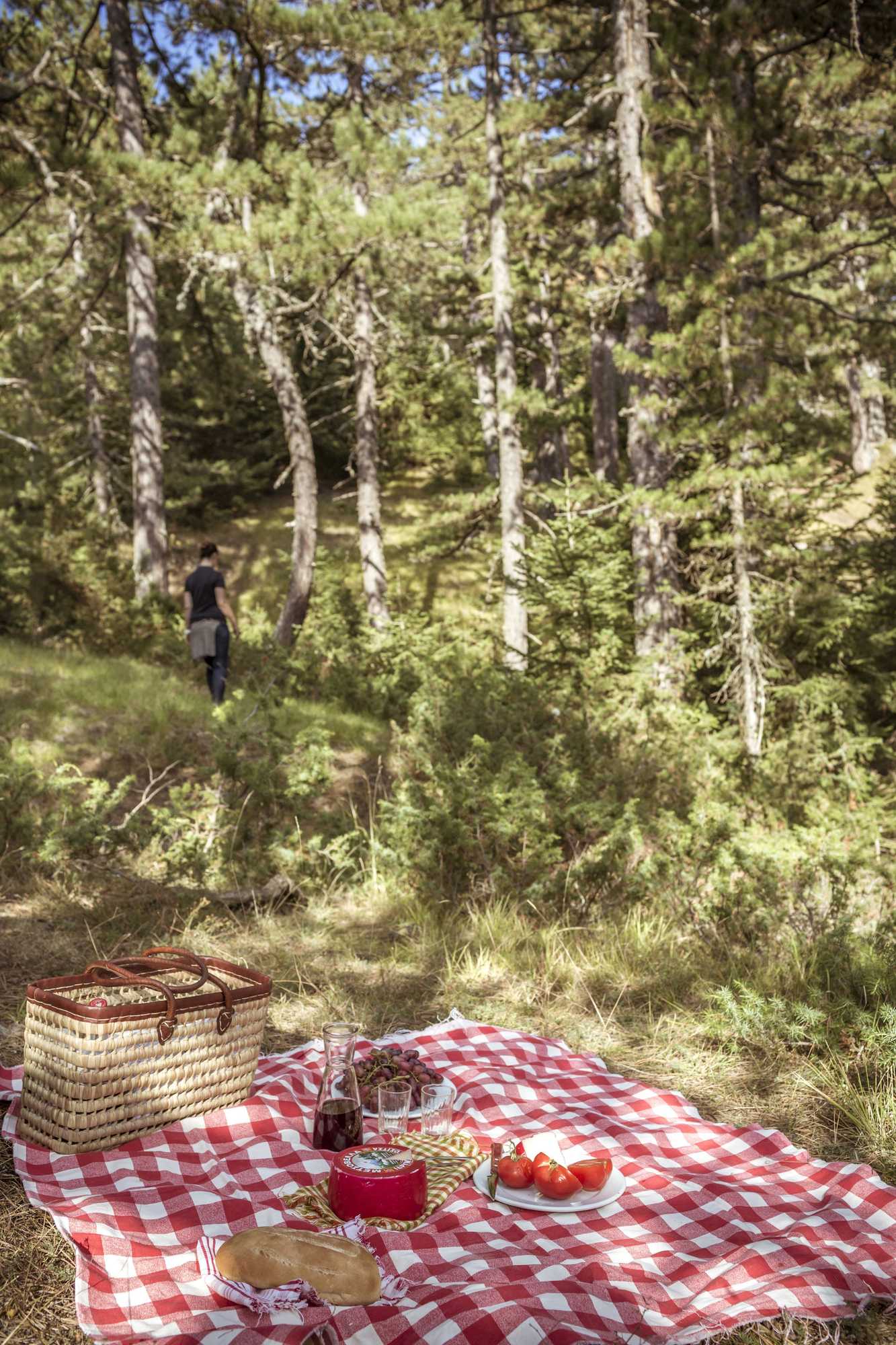 Gift card for Grand Forest Metsovo Gift card for Grand Forest Metsovo