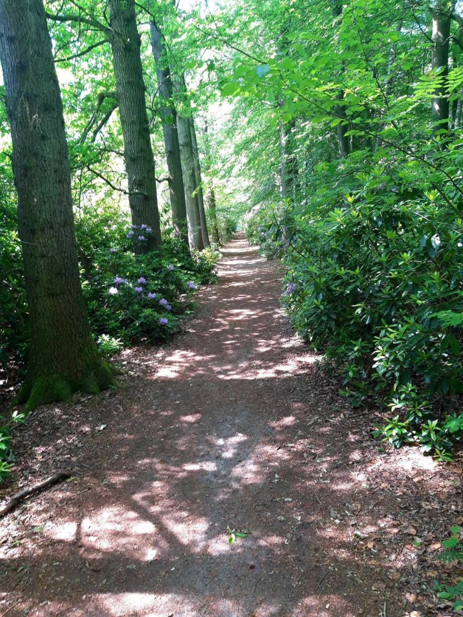 Gift card for Erve Punte