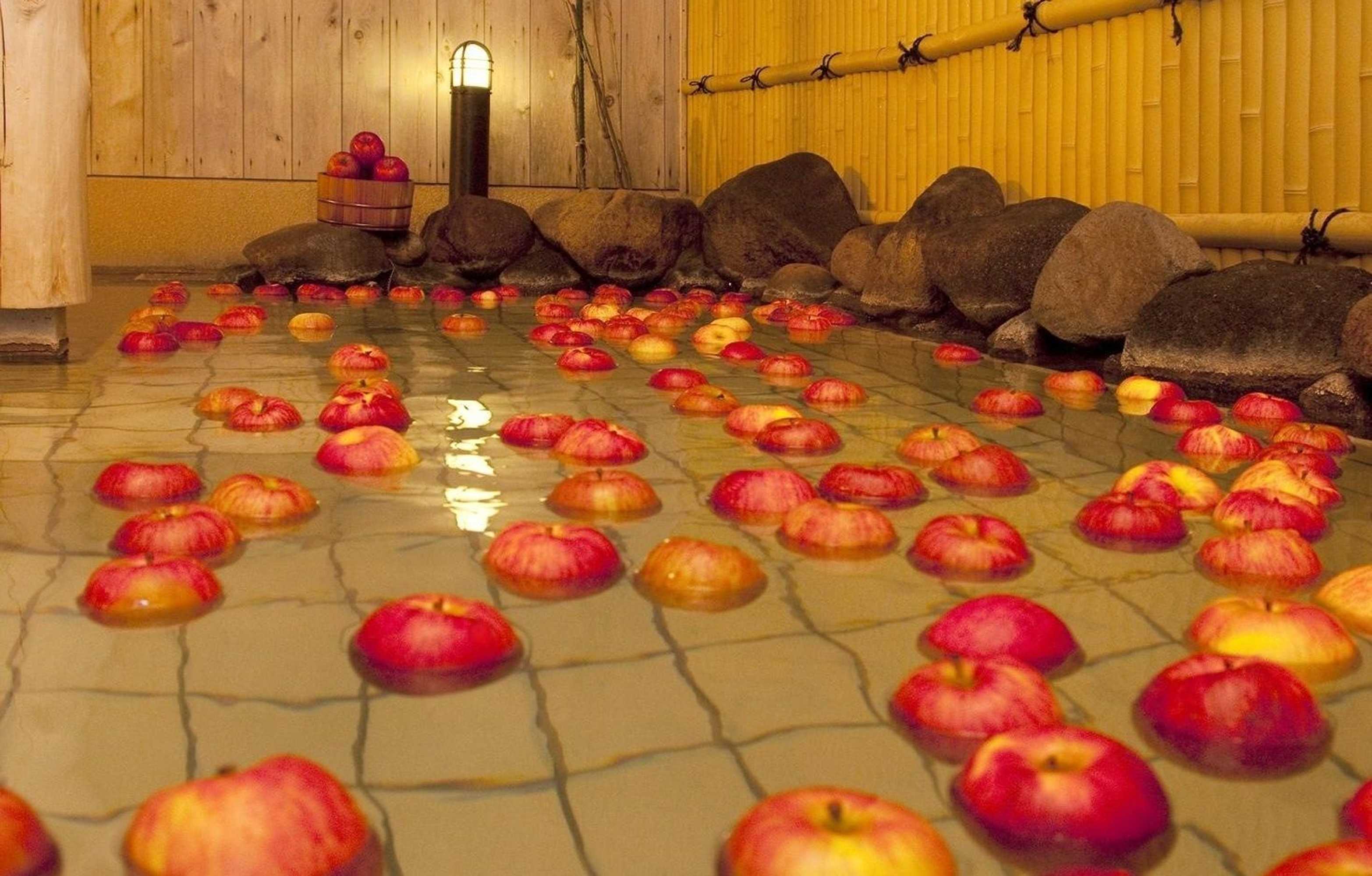 Gift card for Minamida Onsen Hotel Apple Land Gift card for Minamida Onsen Hotel Apple Land