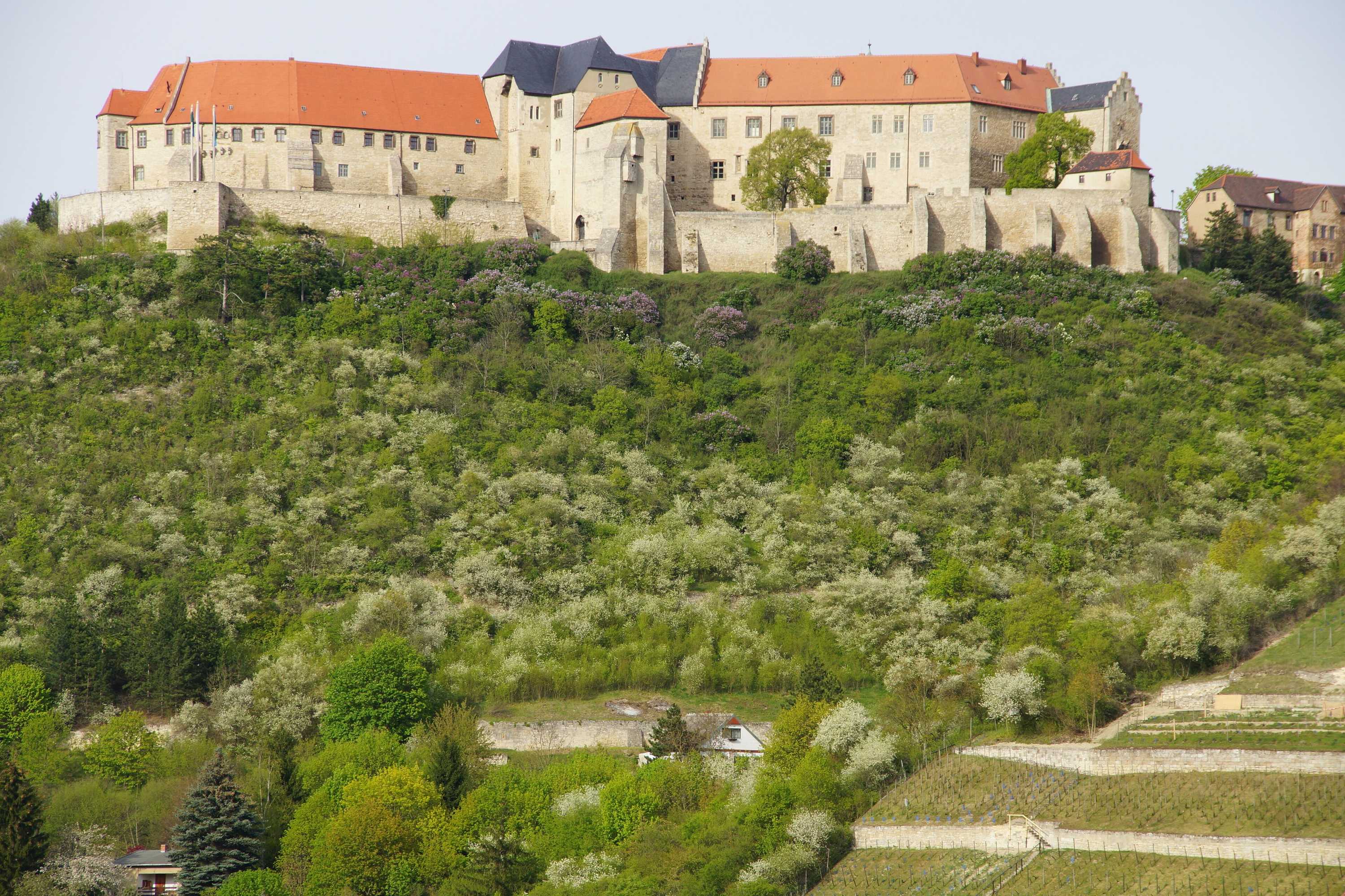 Gift card for Warias Hotel & Restaurant