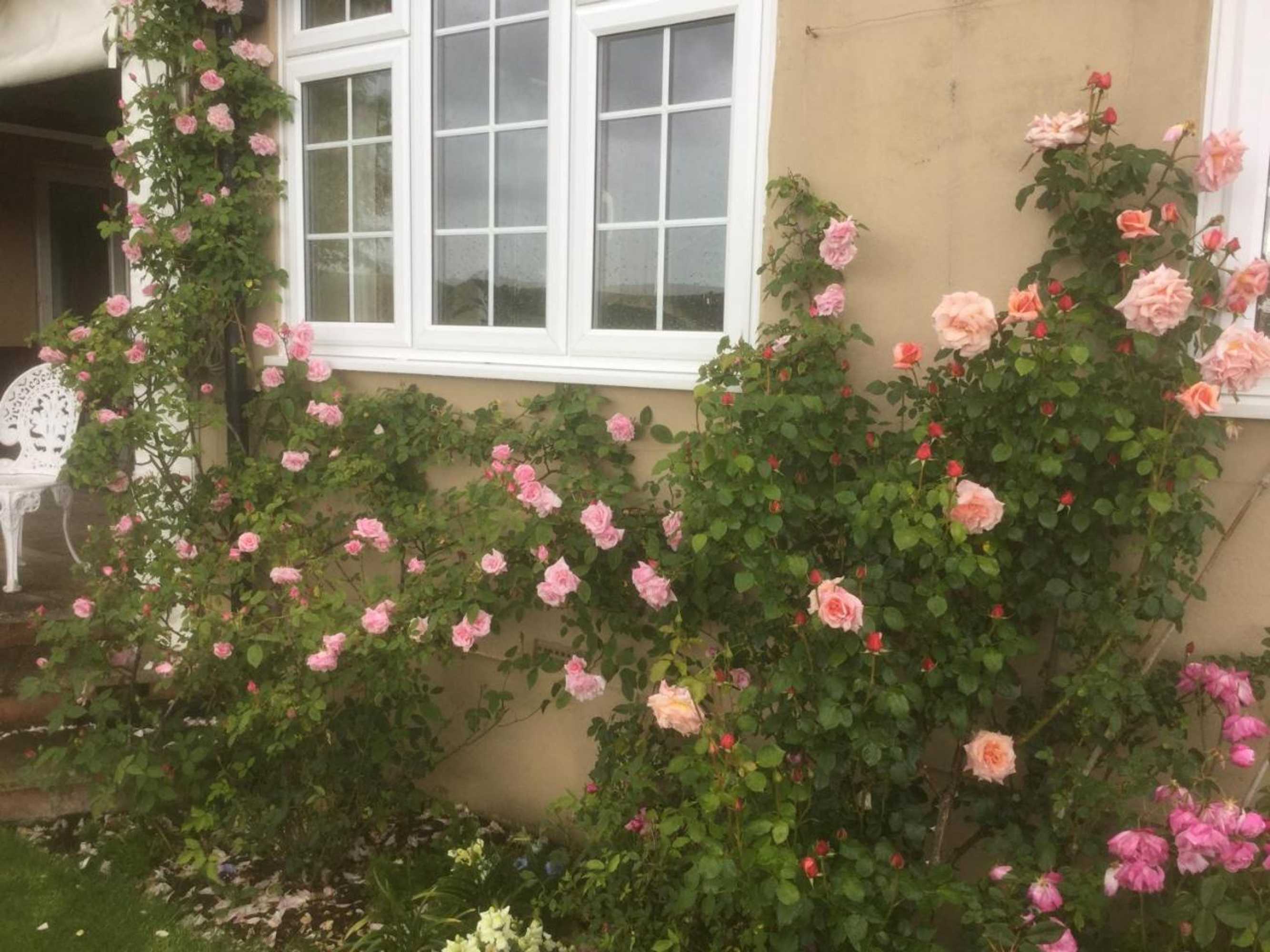 Gift card for Deverill End