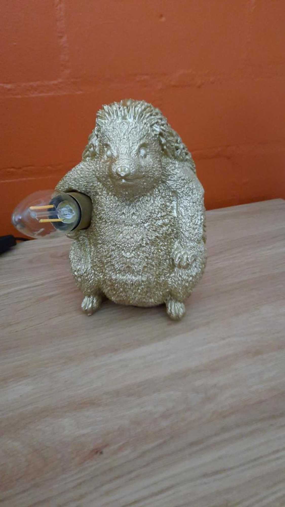 Gift card for Vosseven 32 Geelgors