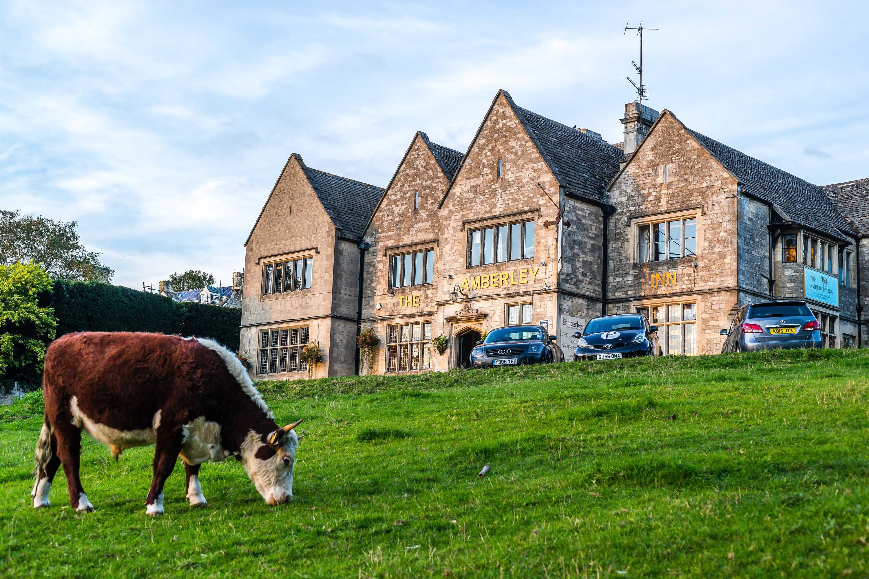 Gift card for Amberley Inn