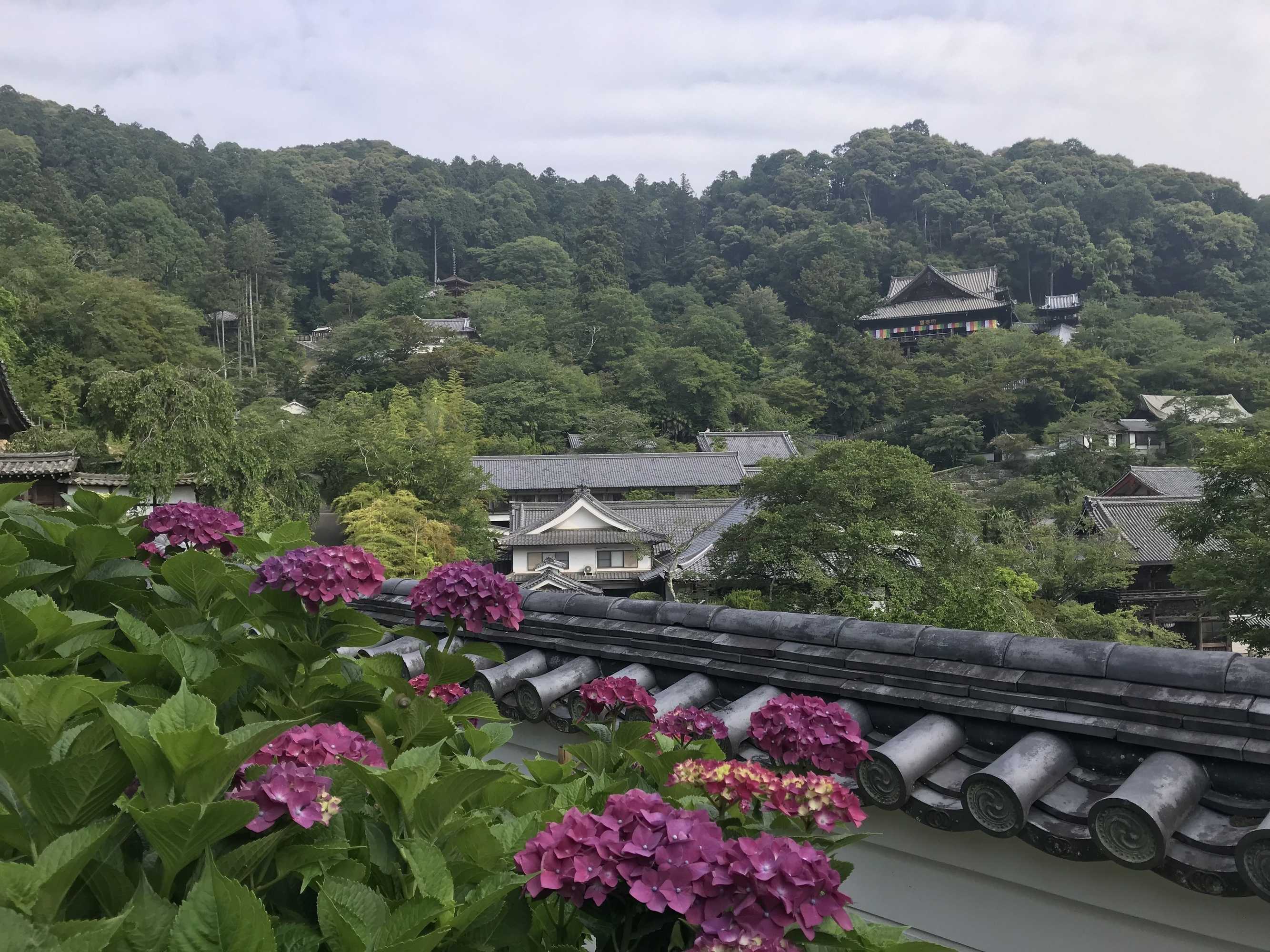Gift card for Asuka Guest House - Hostel Gift card for Asuka Guest House - Hostel