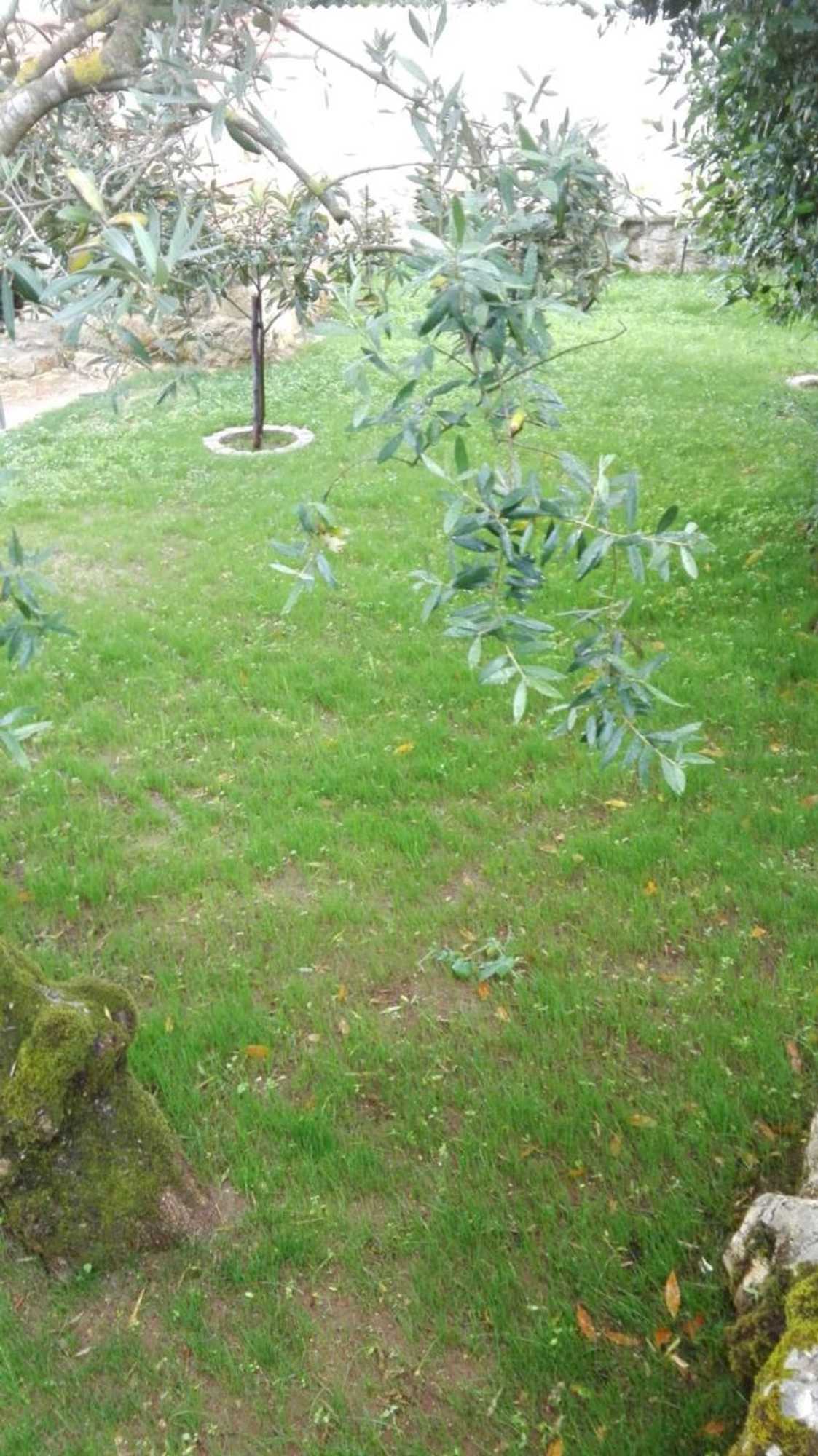 Gift card for Villa Santo Antonio