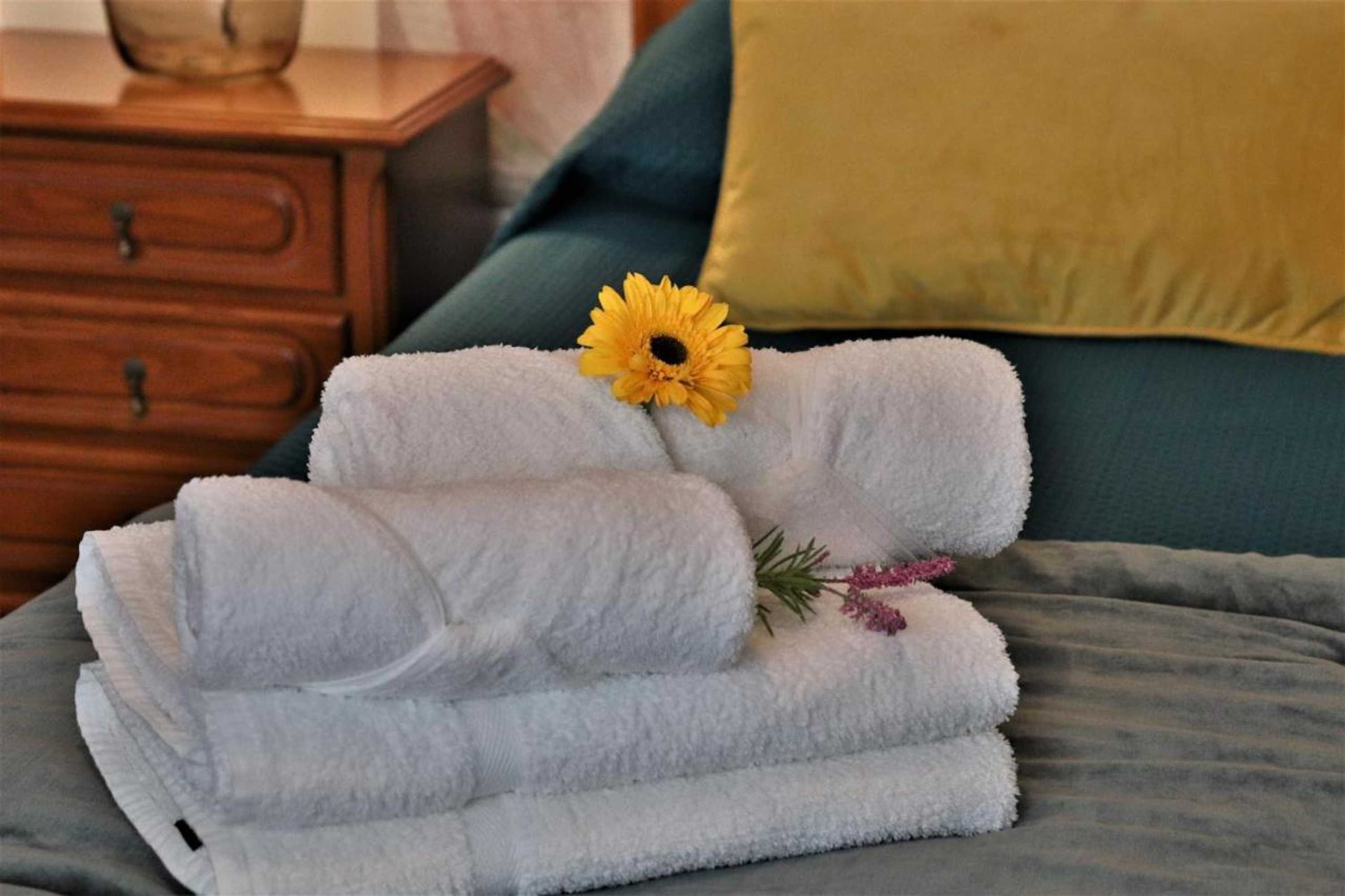 Gift card for Apartamentos Francisco Martins Gift card for Apartamentos Francisco Martins