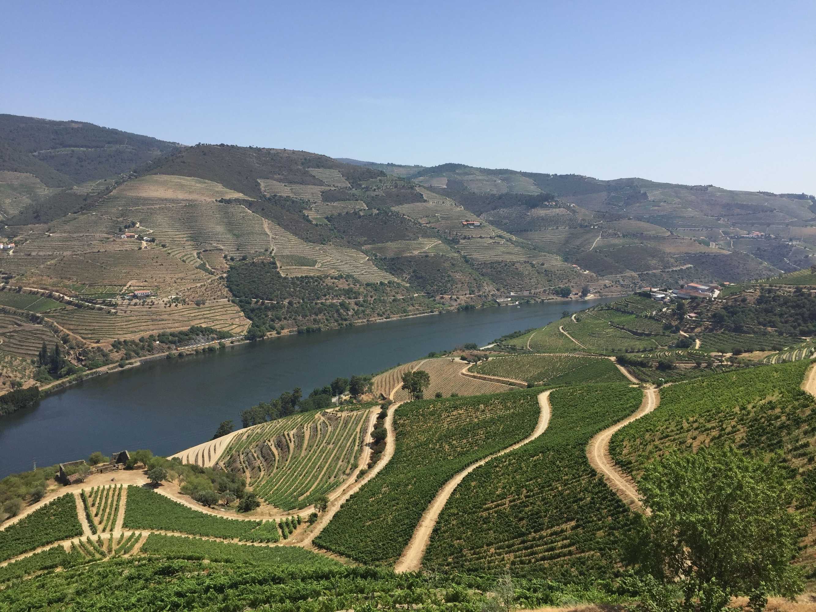 Gift card for Refúgio D'anita Douro Valley House