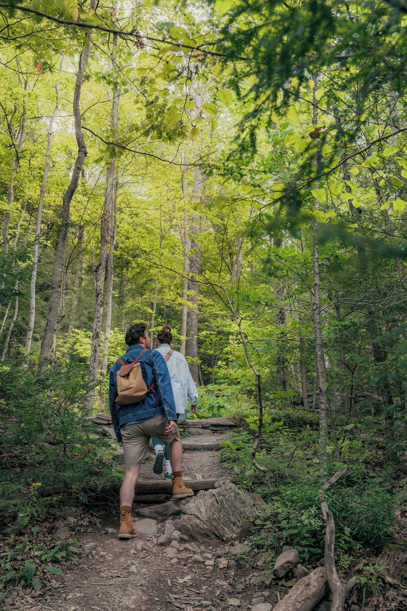 Gift card for Postcard Cabins Eastern Catskills, Outdoor Collection by Marriott Bonvoy Gift card for Postcard Cabins Eastern Catskills, Outdoor Collection by Marriott Bonvoy