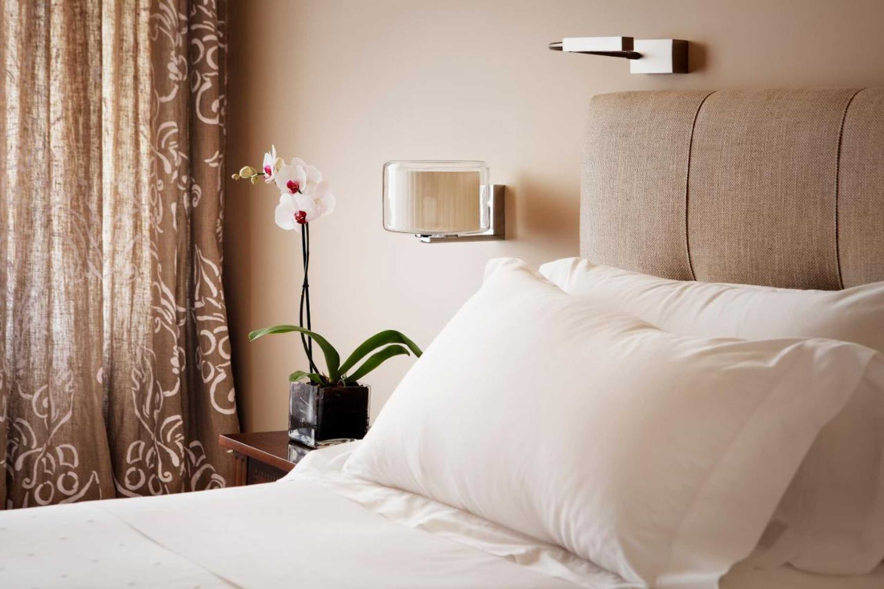 Gift card for Hotel Rector Gift card for Hotel Rector