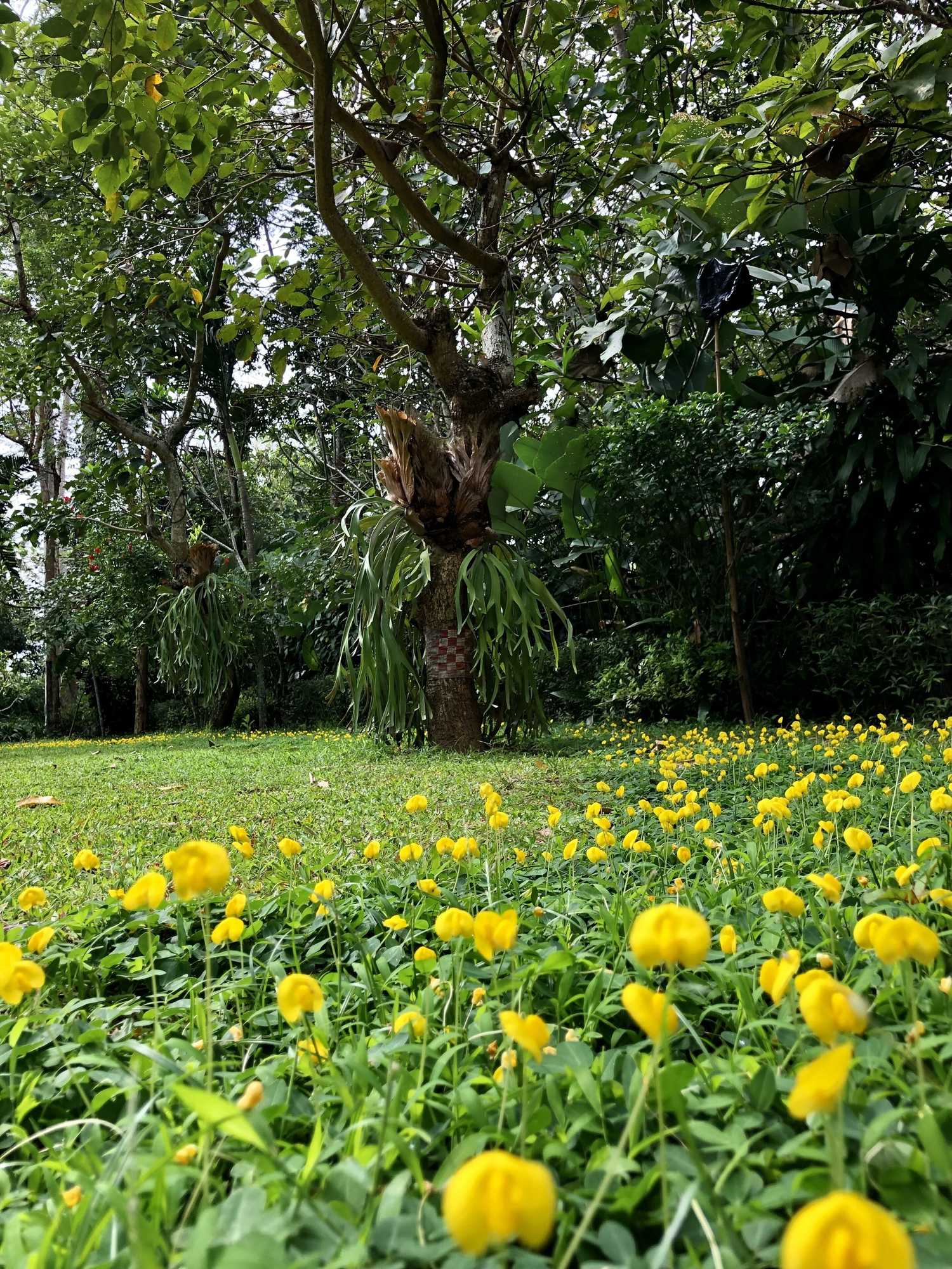 Gift card for Rumah Boedi Private Residence Villa Gift card for Rumah Boedi Private Residence Villa