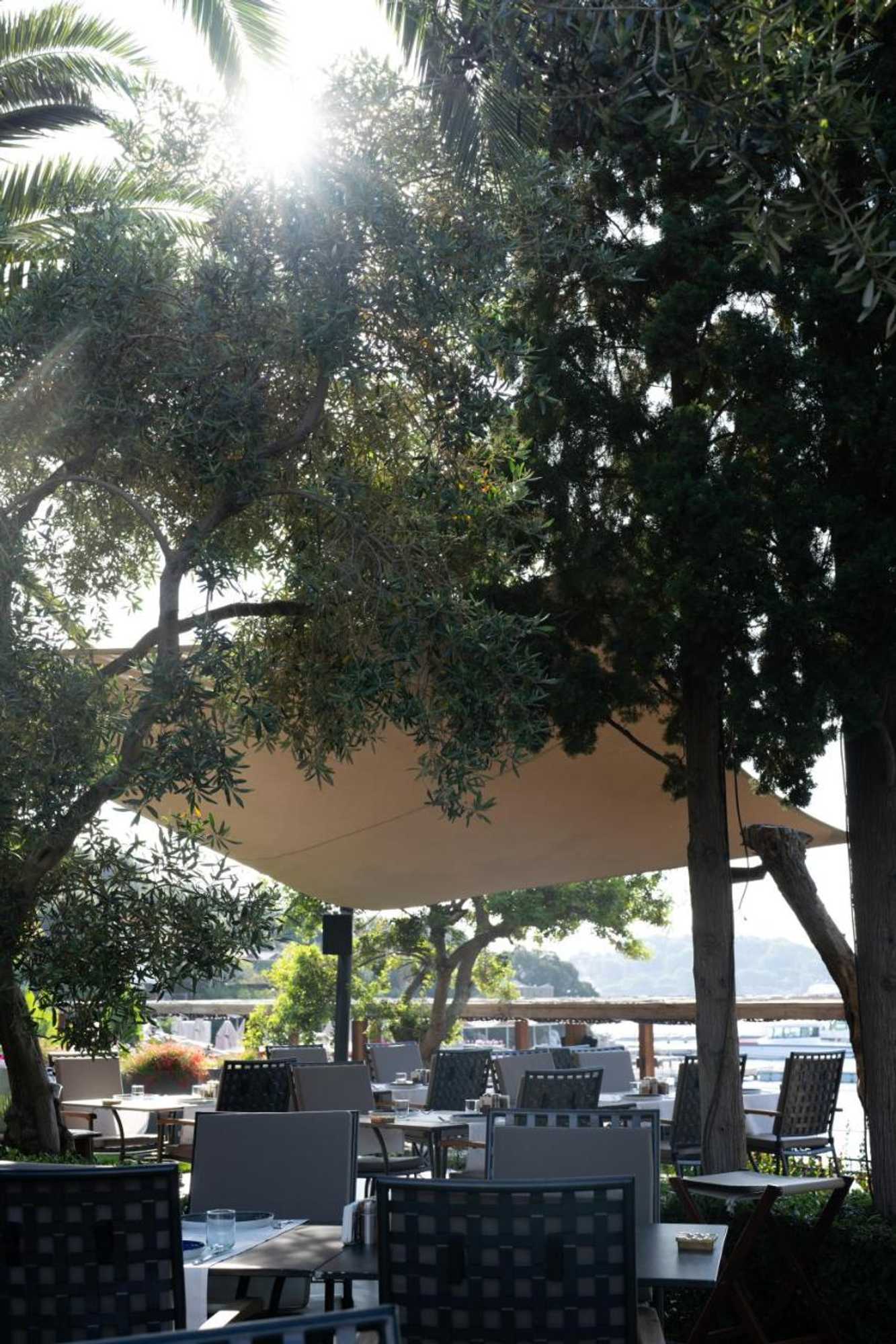 Gift card for No 81 Hotel