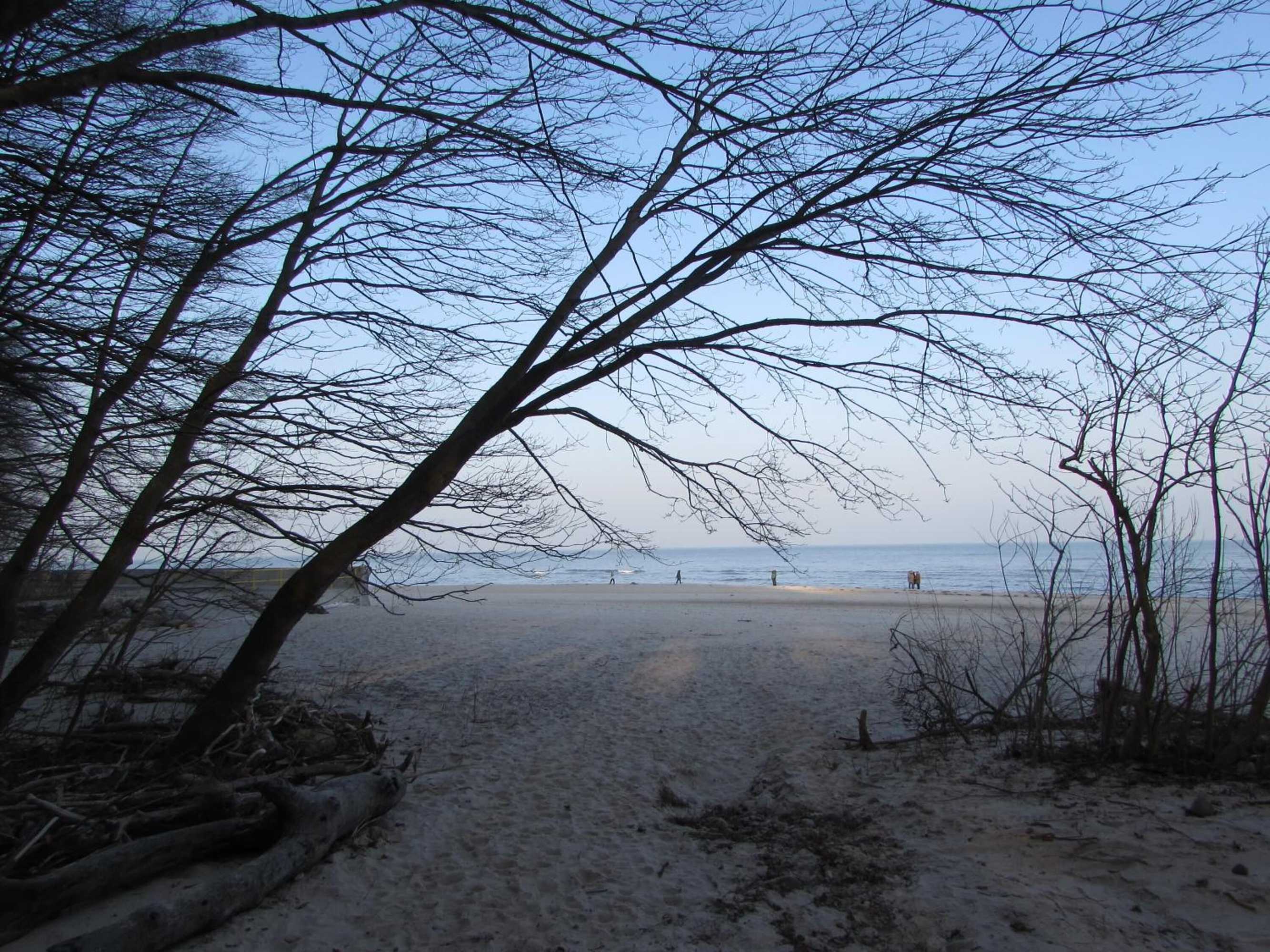 Gift card for Willa Wiktoria