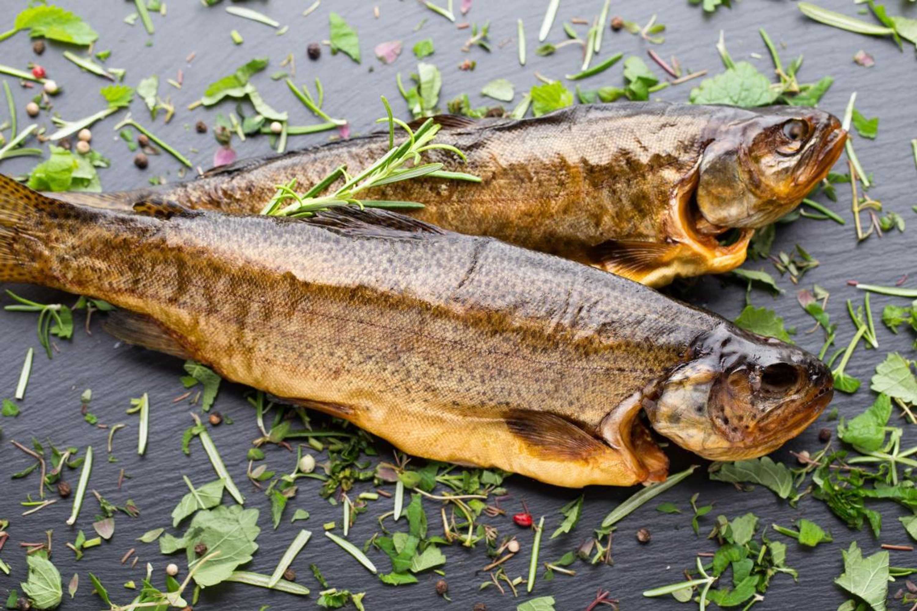 Gift card for Hotel Schmausemühle