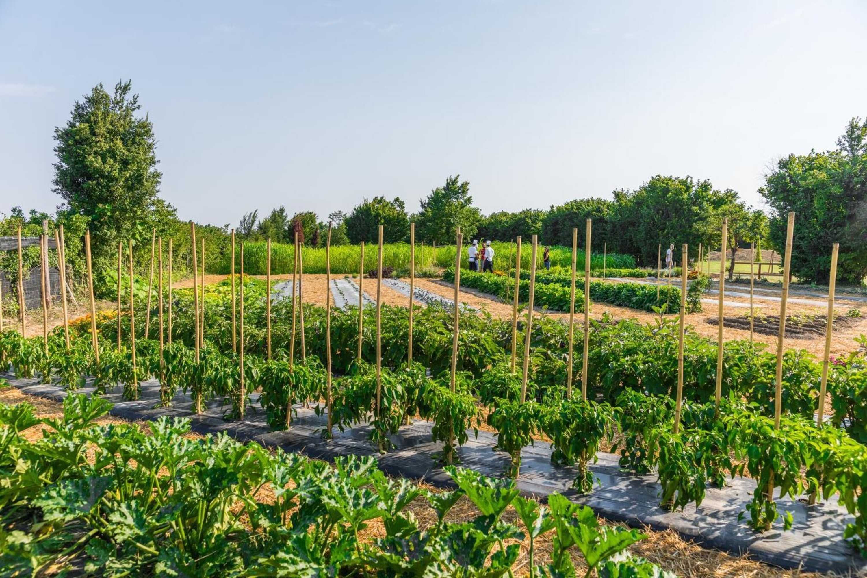 Gift card for La Posa Degli Agri