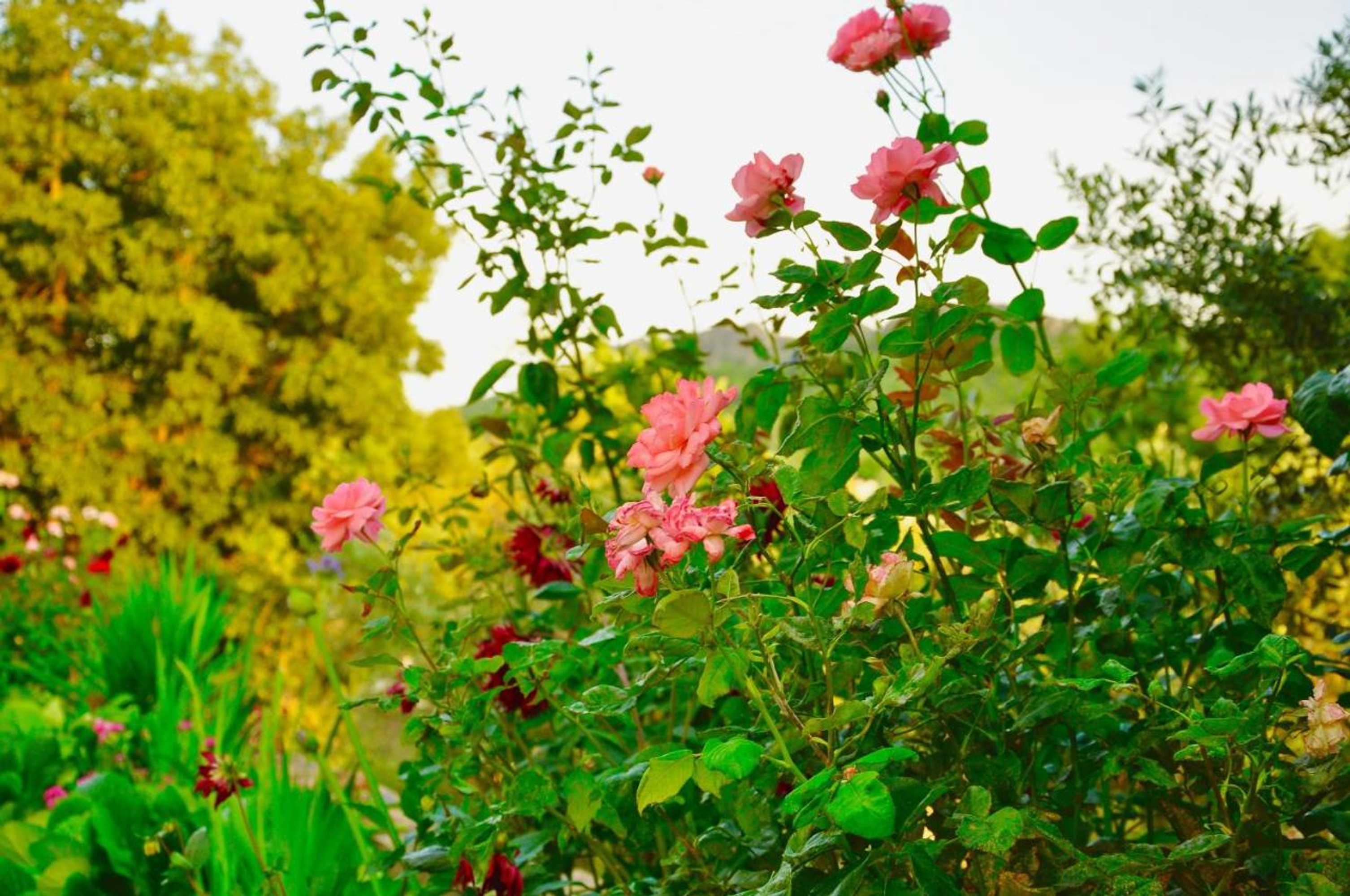 Gift card for Vila Maria