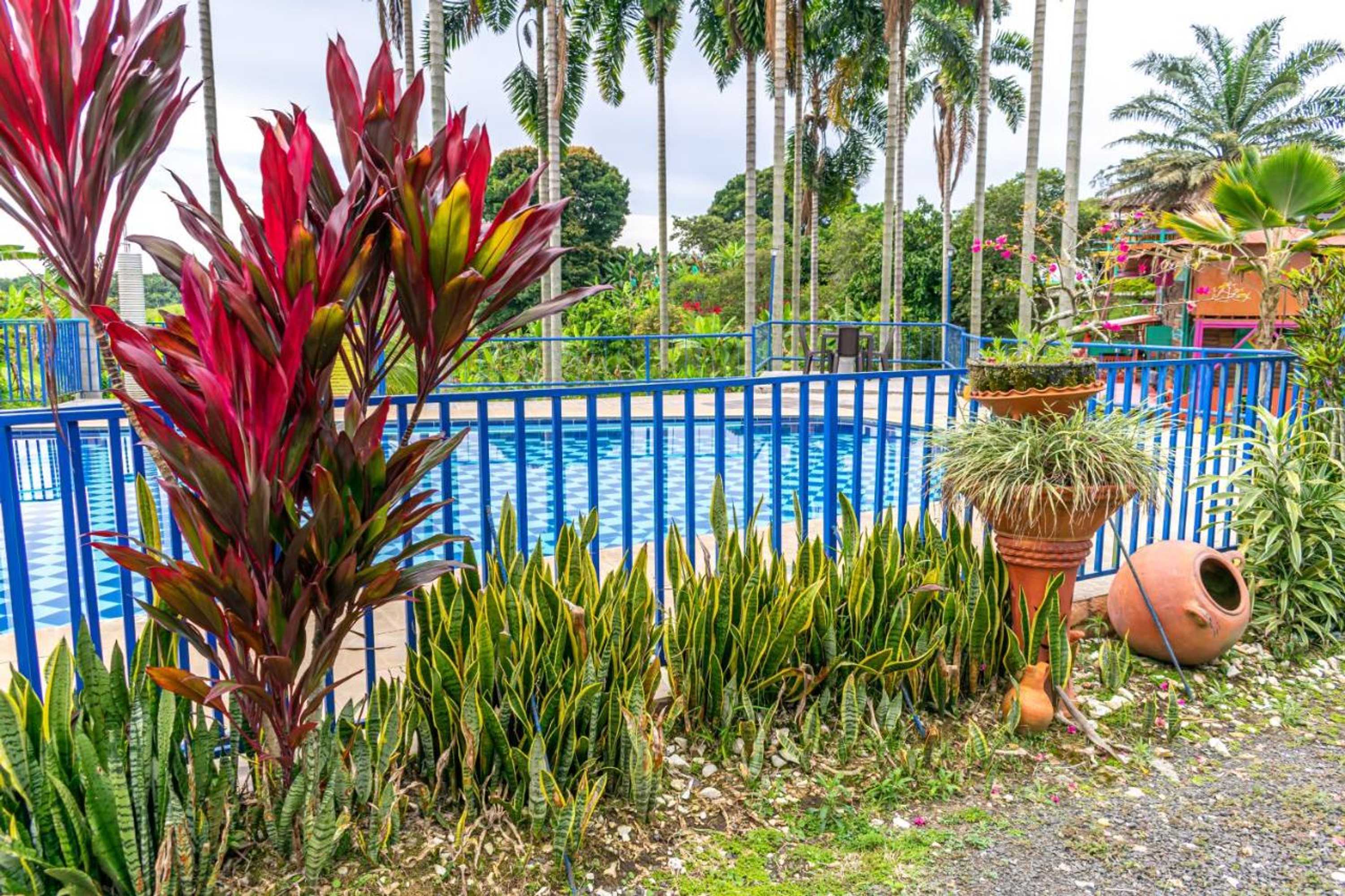 Gift card for Finca Hotel El Tizon