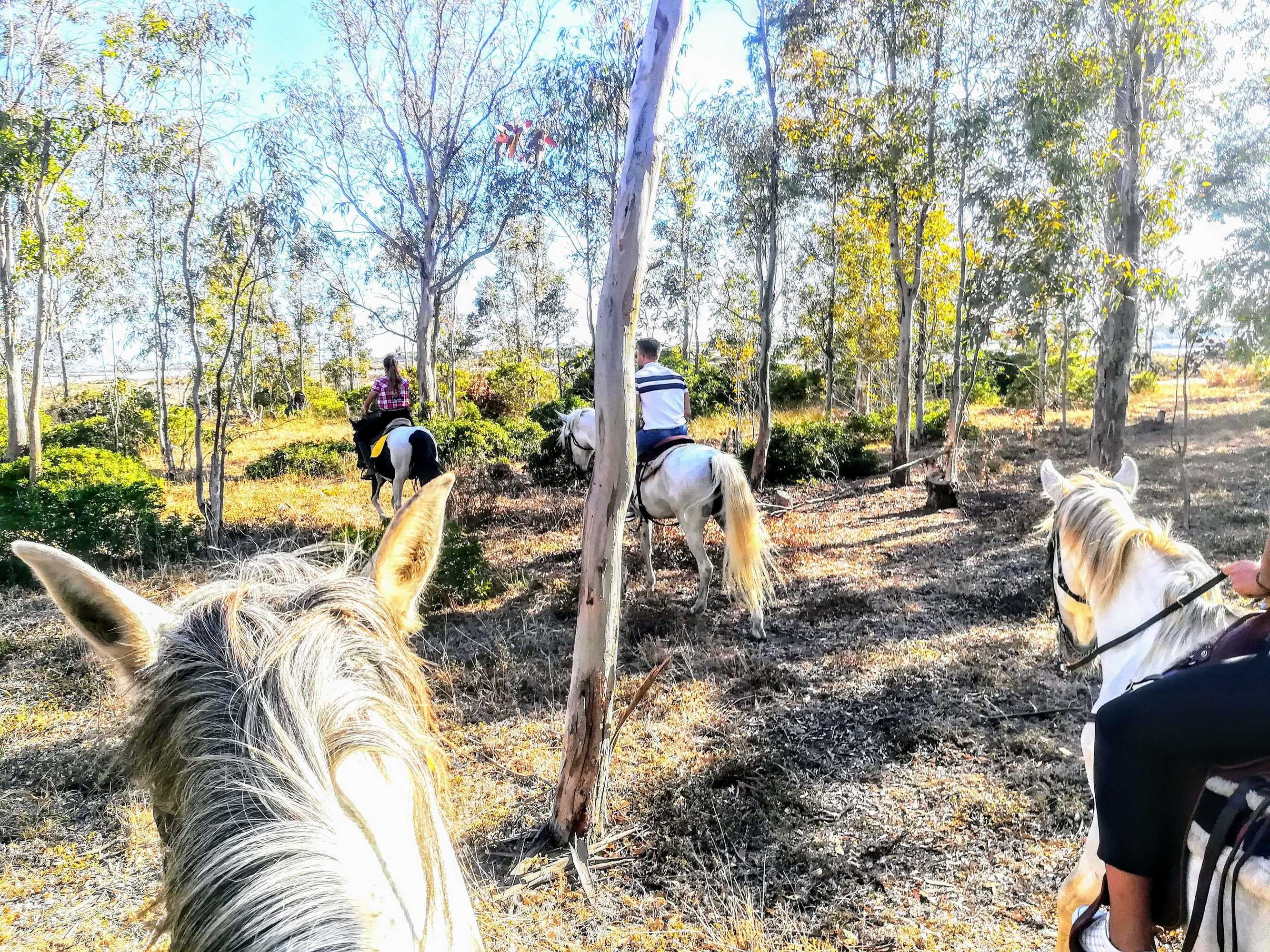 Gift card for Bungalow de Texas