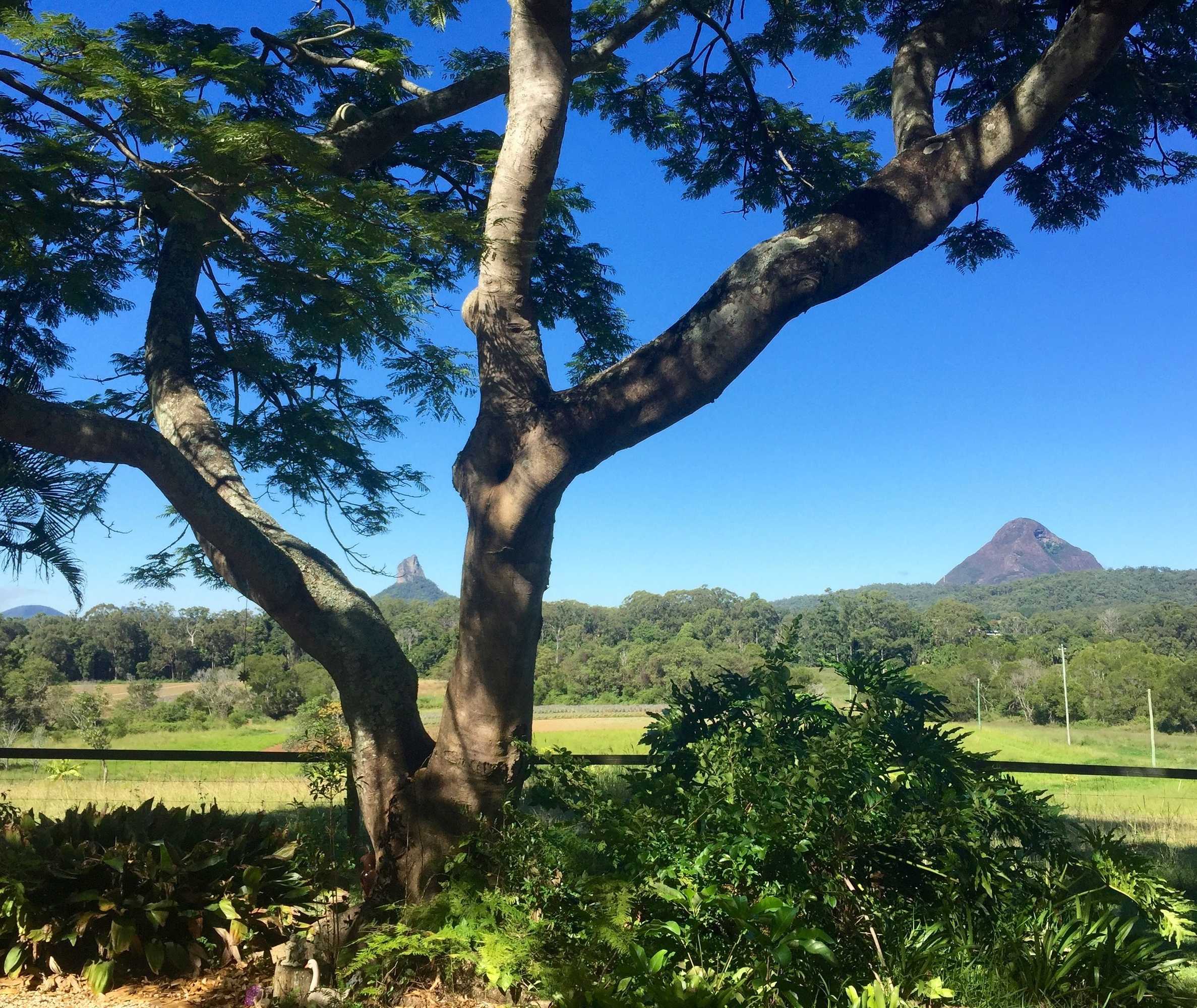 Gift card for Blackwattle Farm B&b And Farm Stay